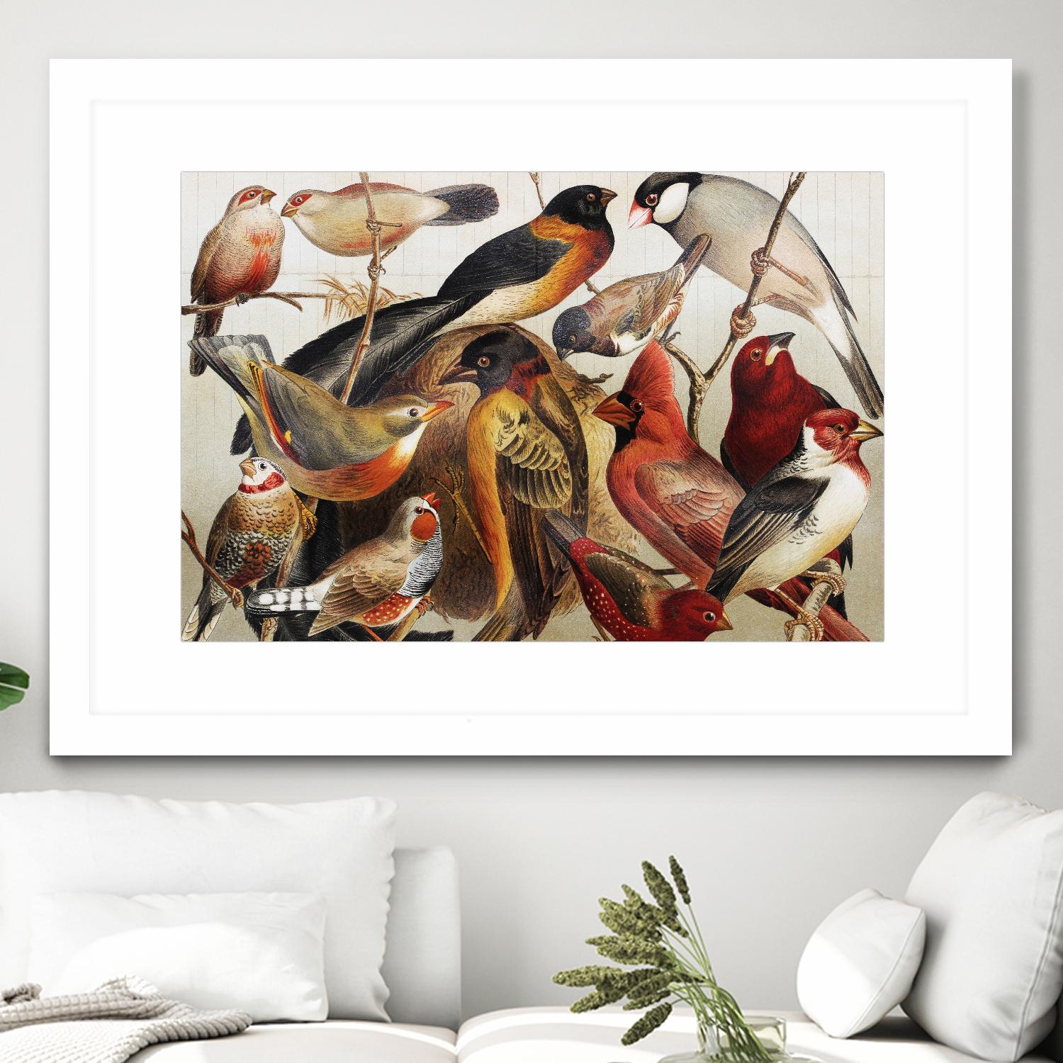 Collection II by PhotoINC Studio on GIANT ART - multicolor animals