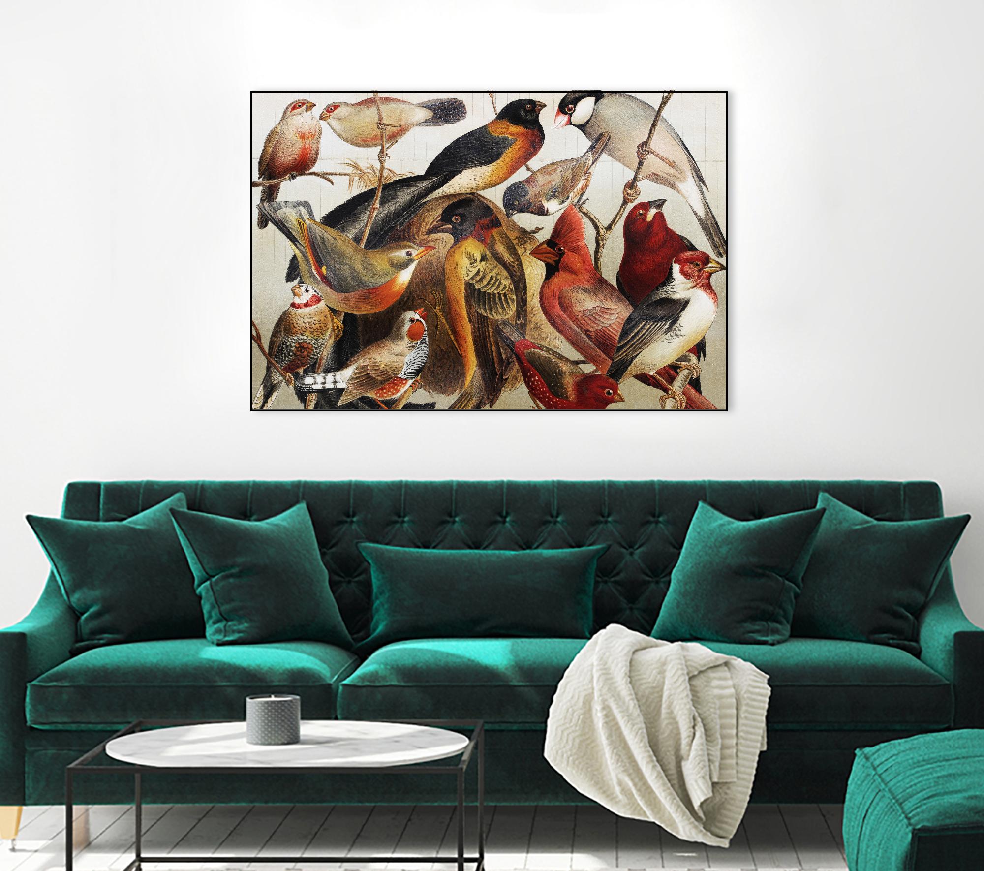 Collection II by PhotoINC Studio on GIANT ART - multicolor animals