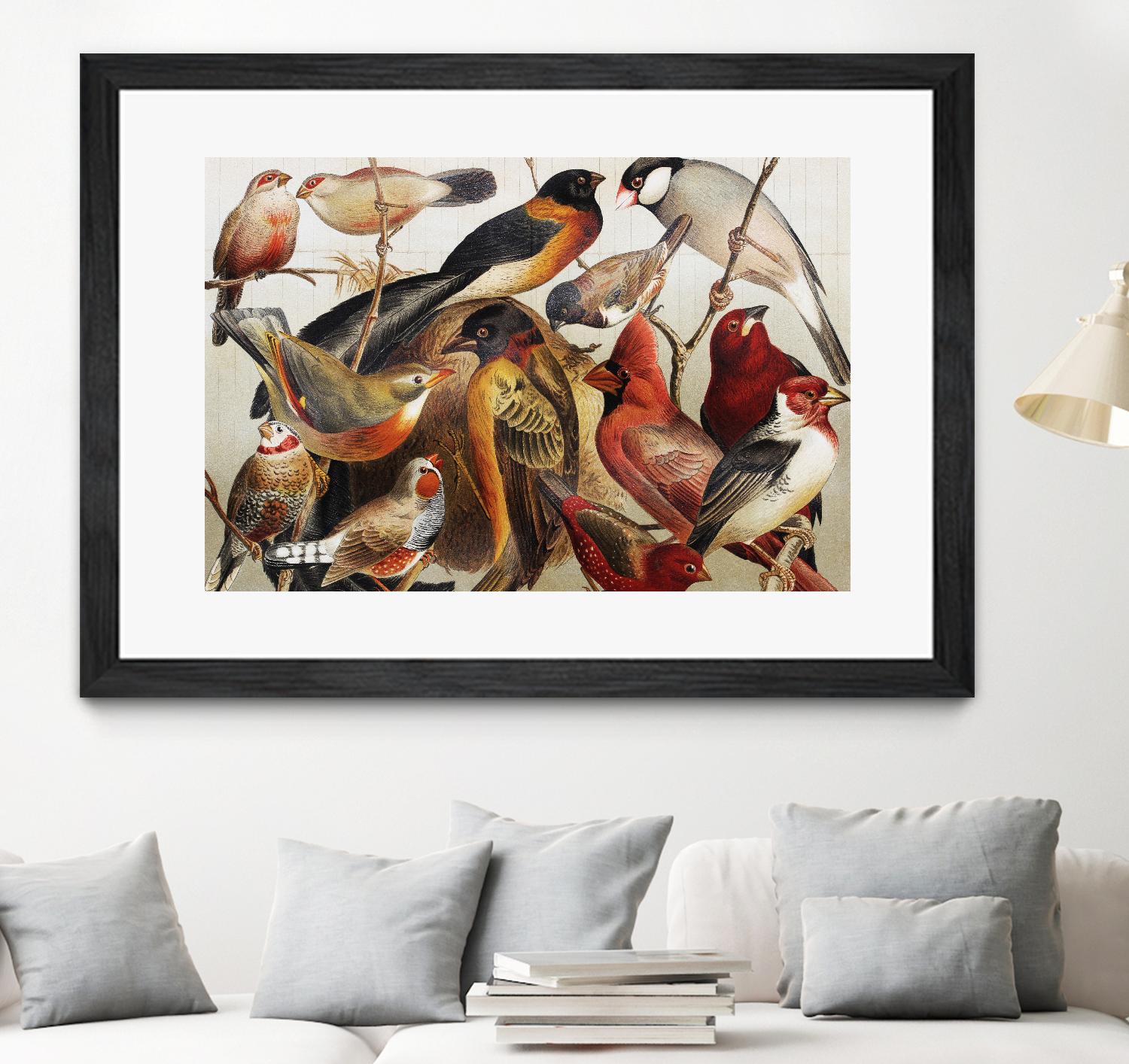 Collection II by PhotoINC Studio on GIANT ART - multicolor animals