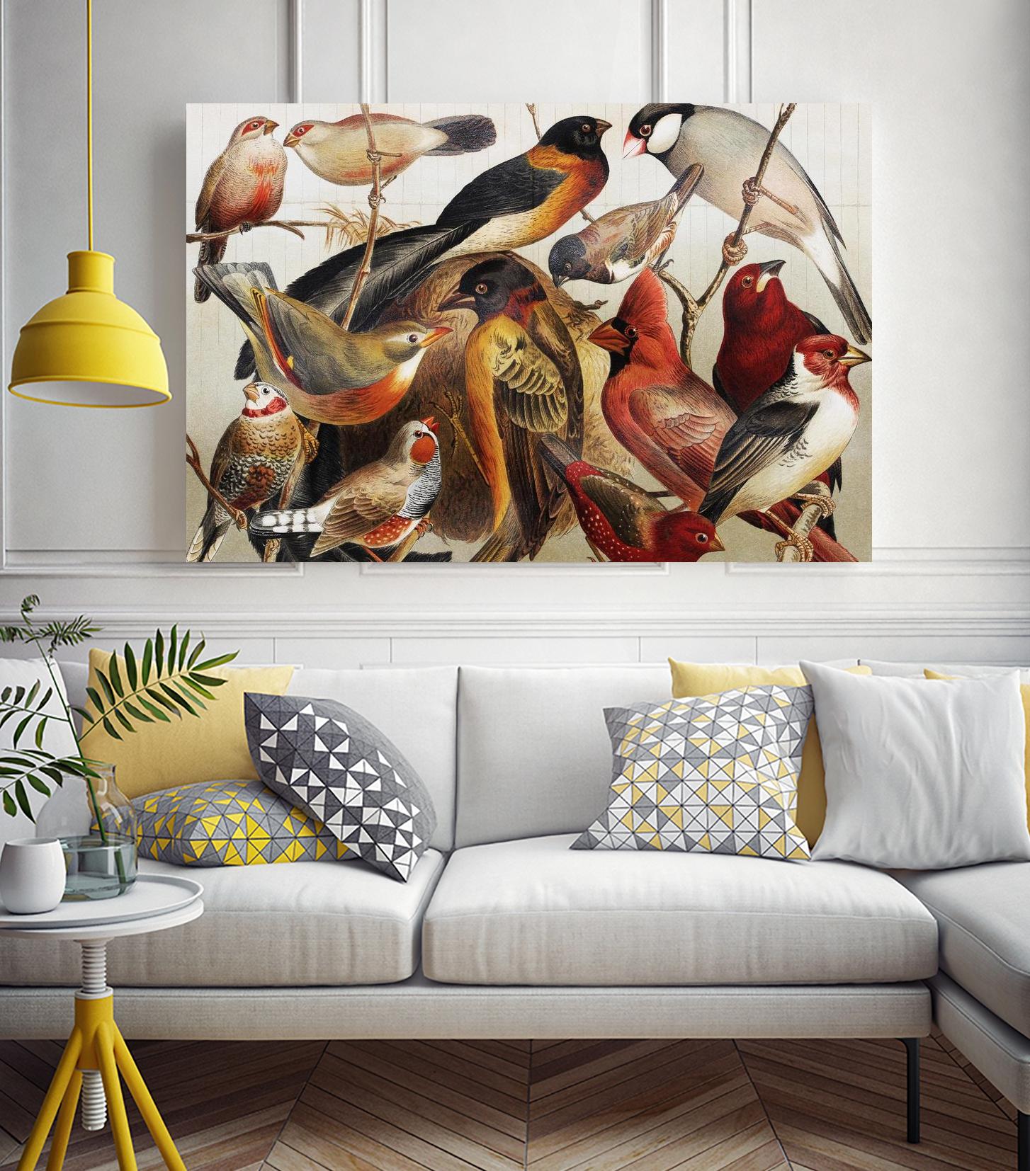 Collection II by PhotoINC Studio on GIANT ART - multicolor animals