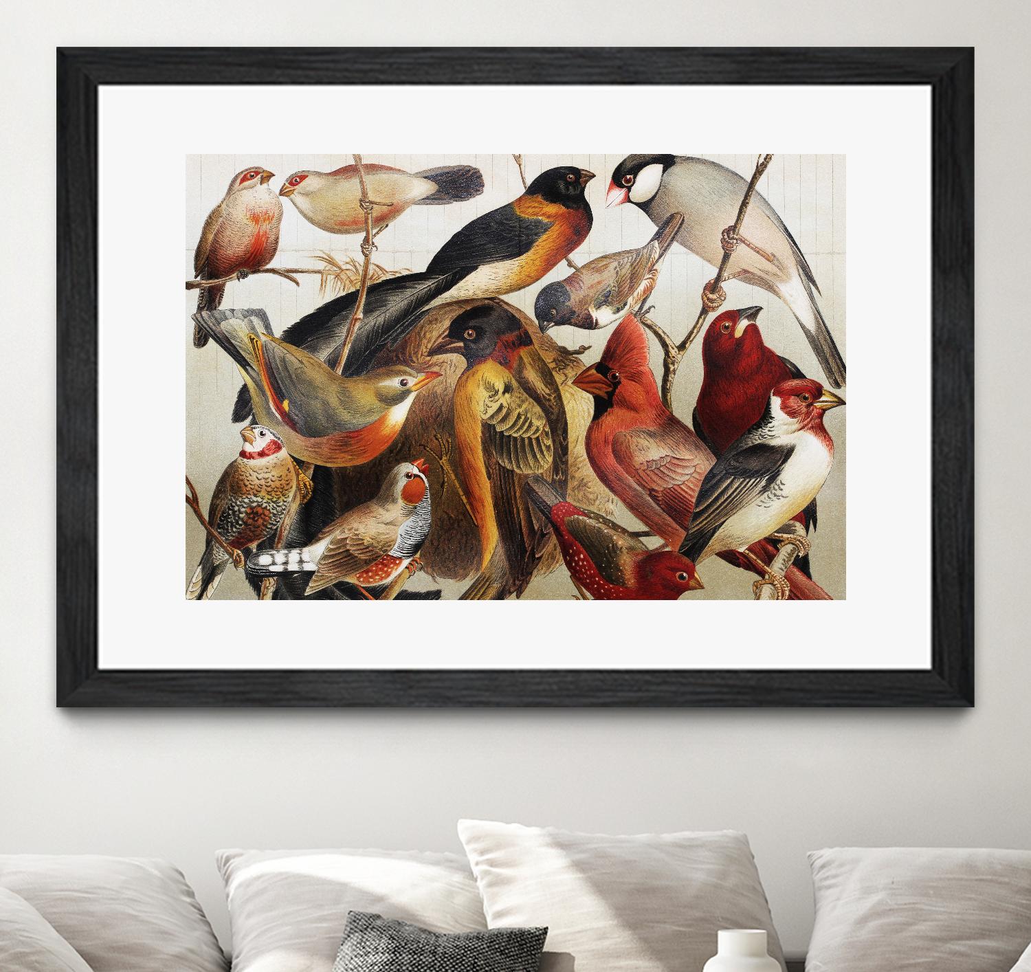 Collection II by PhotoINC Studio on GIANT ART - multicolor animals