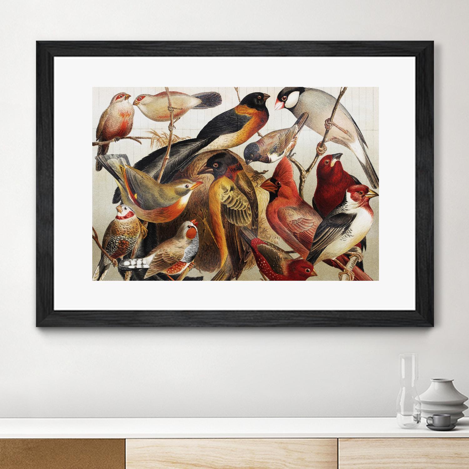 Collection II by PhotoINC Studio on GIANT ART - multicolor animals