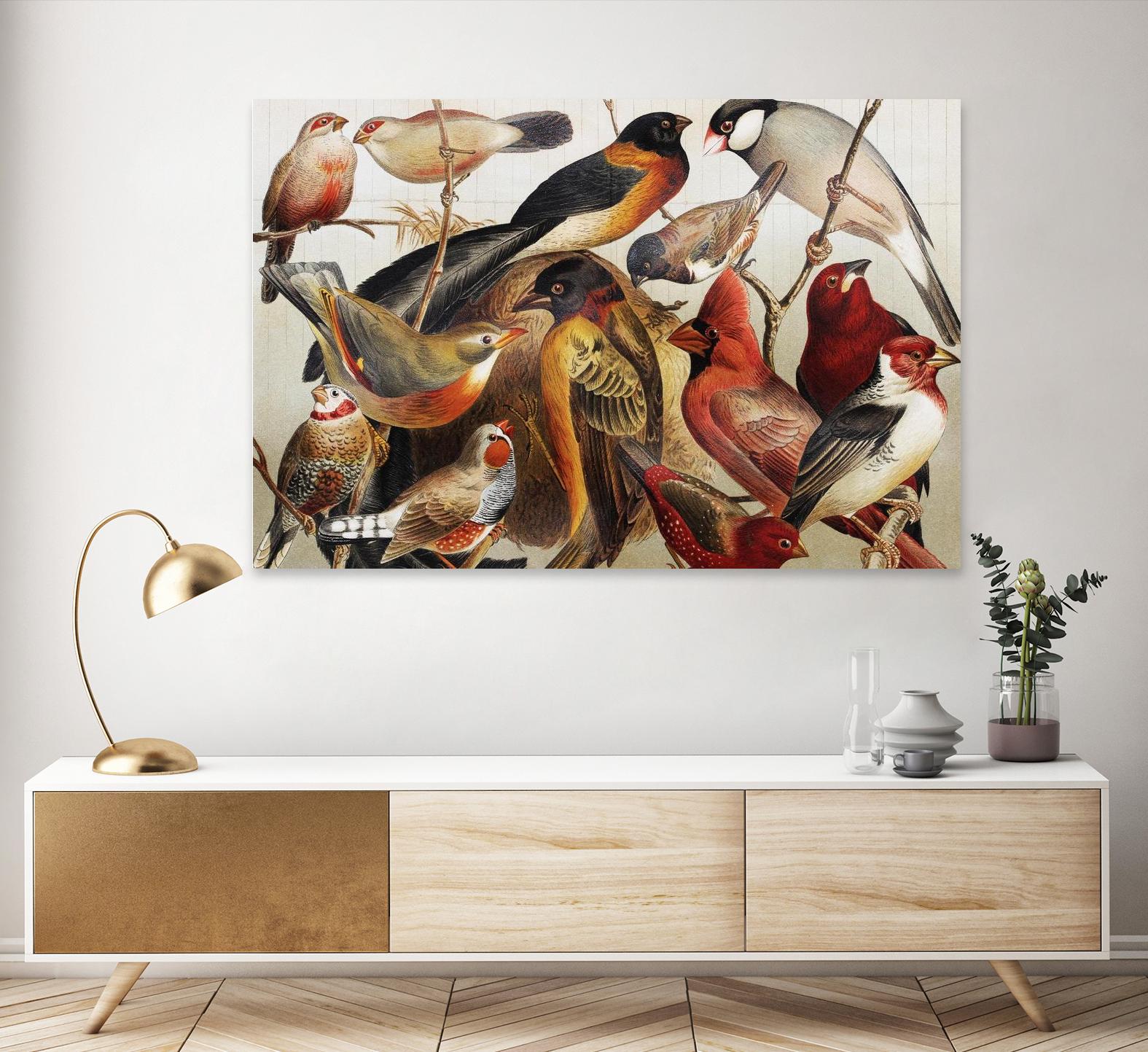 Collection II by PhotoINC Studio on GIANT ART - multicolor animals