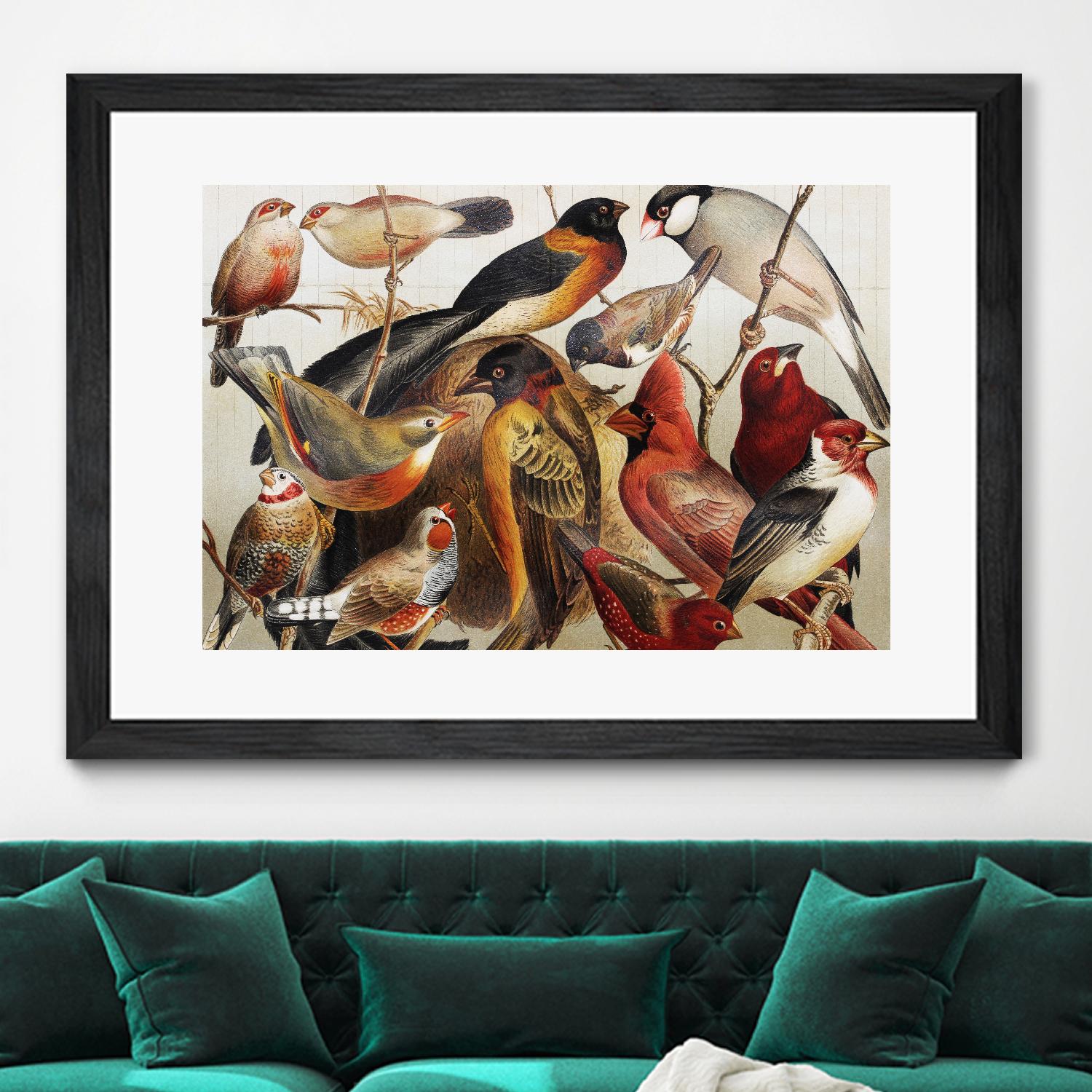 Collection II by PhotoINC Studio on GIANT ART - multicolor animals