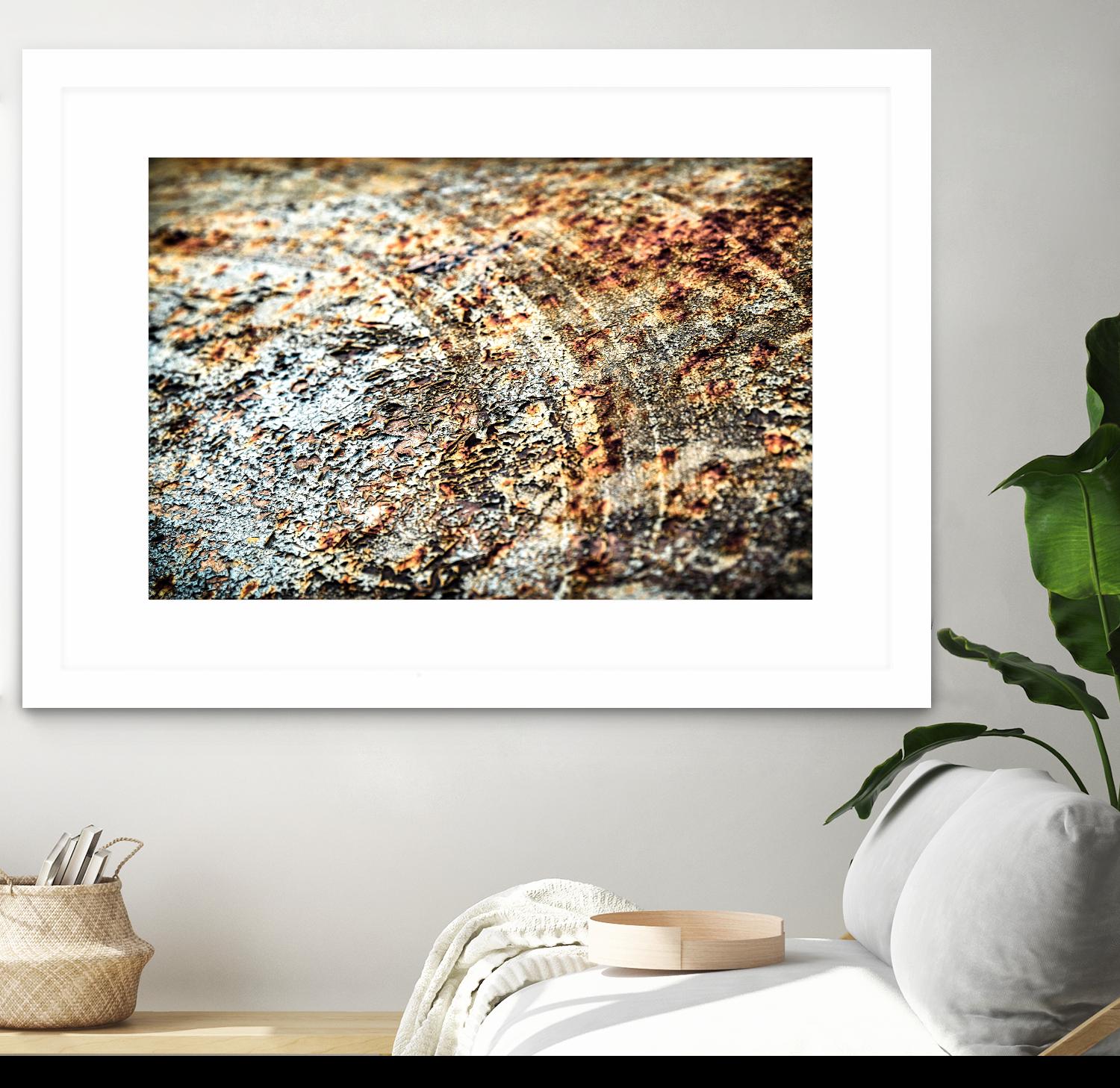 Retro Rust by PhotoINC Studio on GIANT ART - multicolor photography; floral/still life
