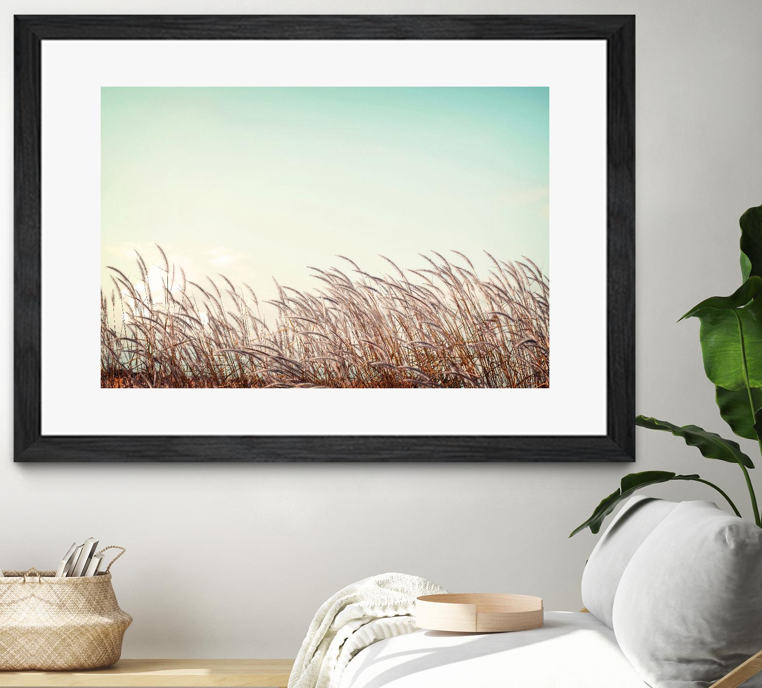 Retro Grass by PhotoINC Studio on GIANT ART - multicolor photography; landscapes