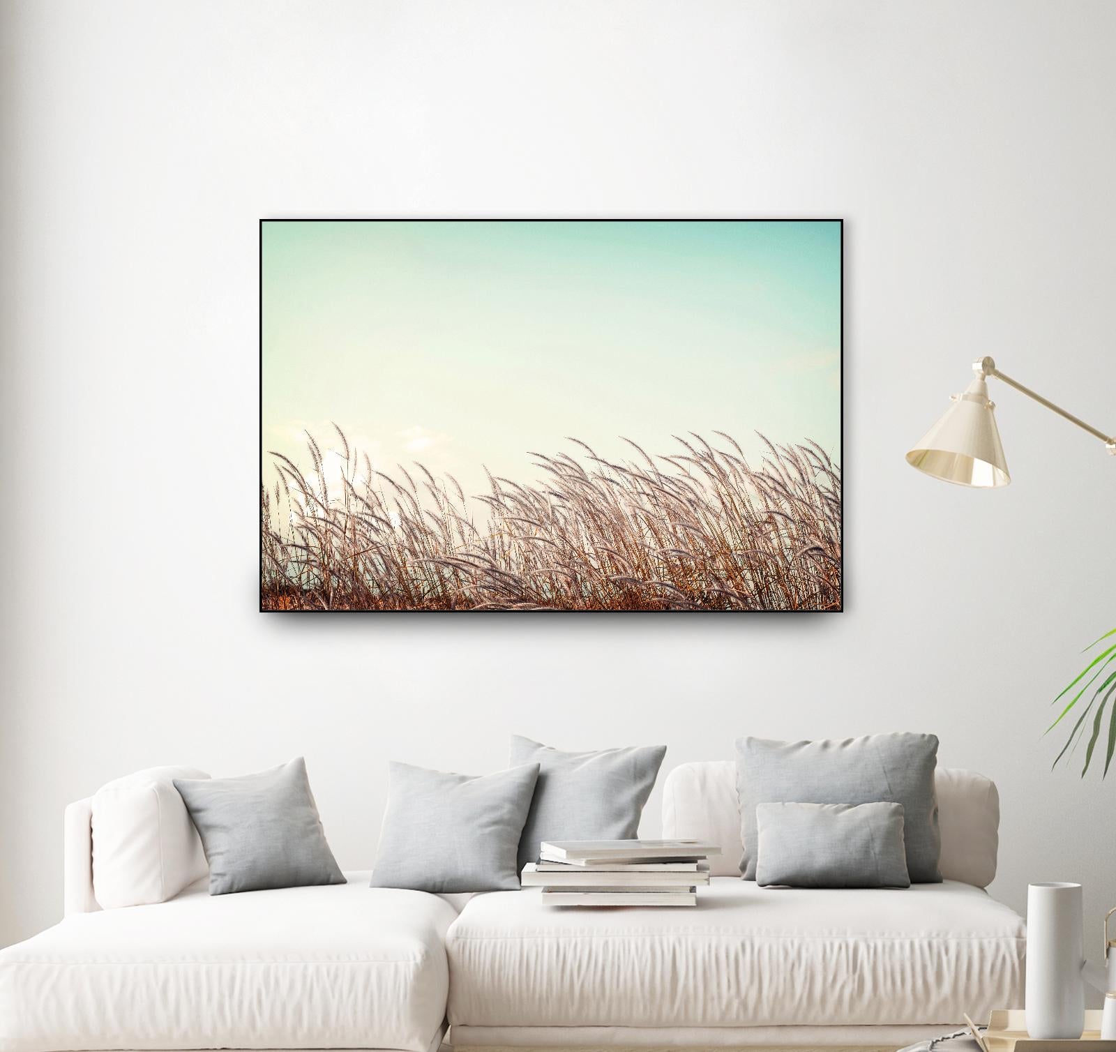 Retro Grass by PhotoINC Studio on GIANT ART - multicolor photography; landscapes