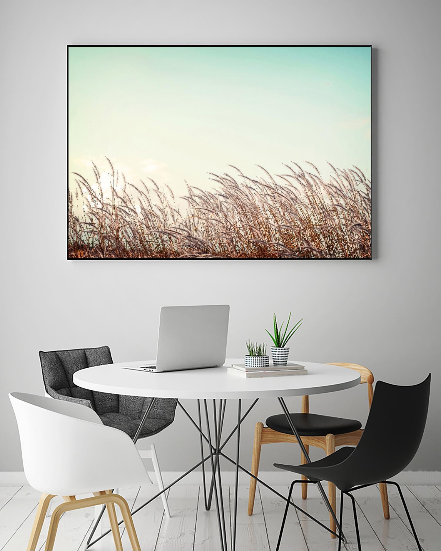 Retro Grass by PhotoINC Studio on GIANT ART - multicolor photography; landscapes