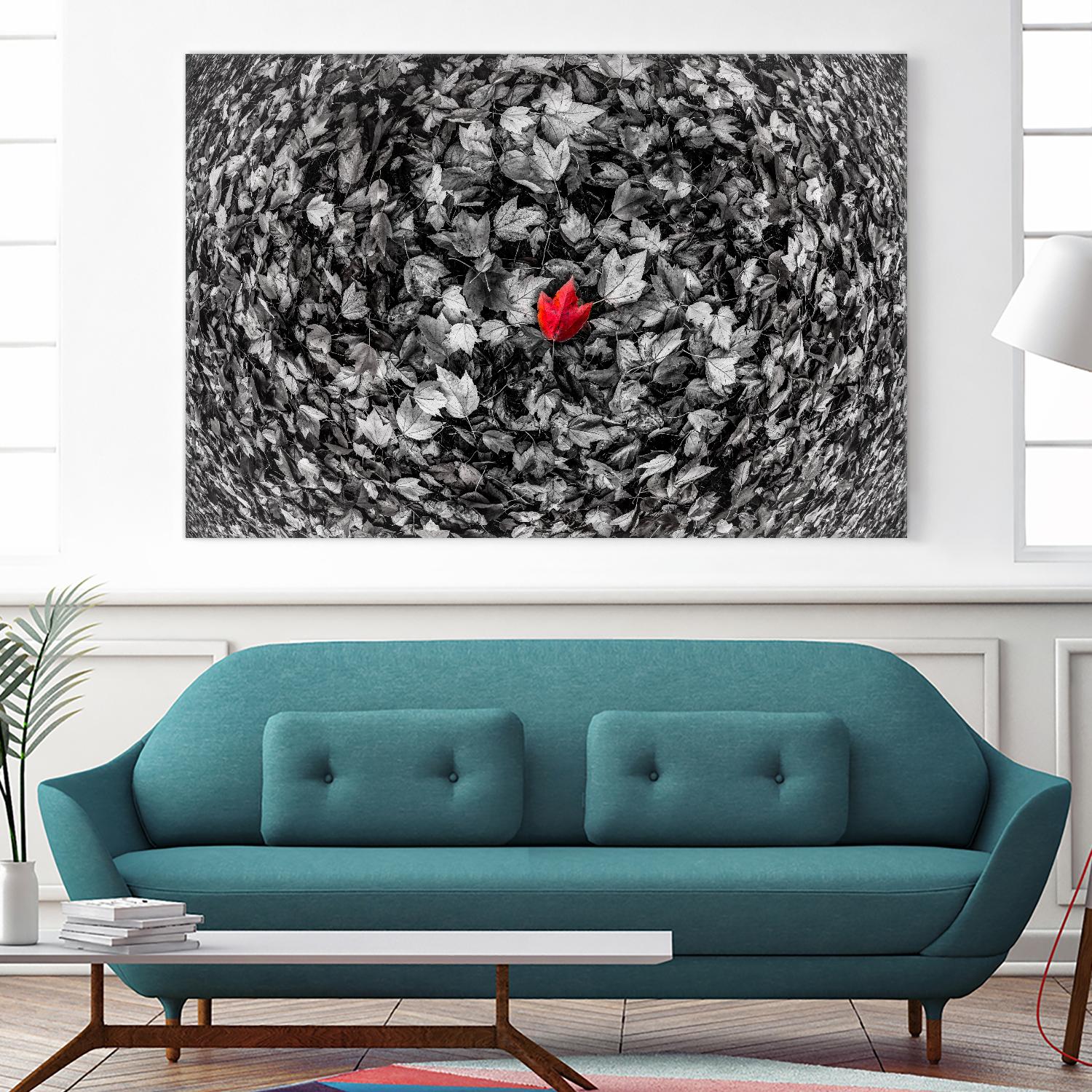 Alone by Vladimir Kostka on GIANT ART - multicolor photography; floral/still life