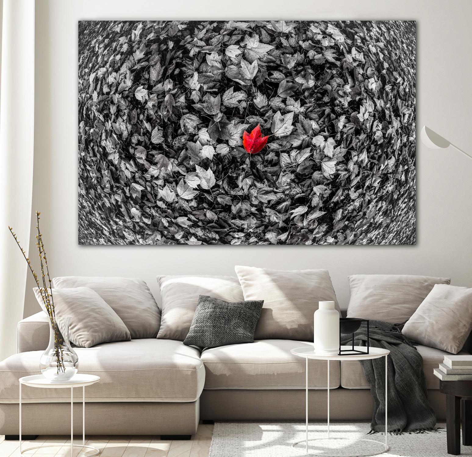 Alone by Vladimir Kostka on GIANT ART - multicolor photography; floral/still life