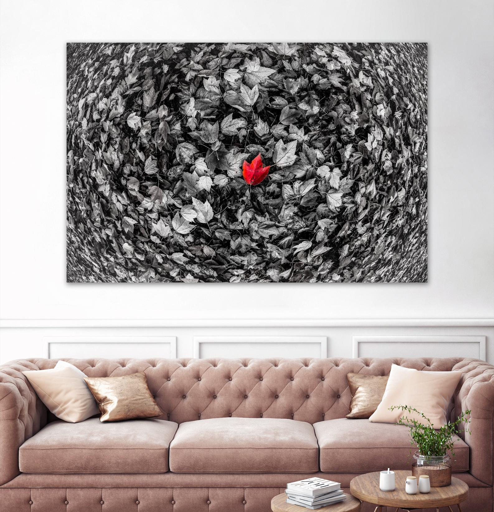 Alone by Vladimir Kostka on GIANT ART - multicolor photography; floral/still life