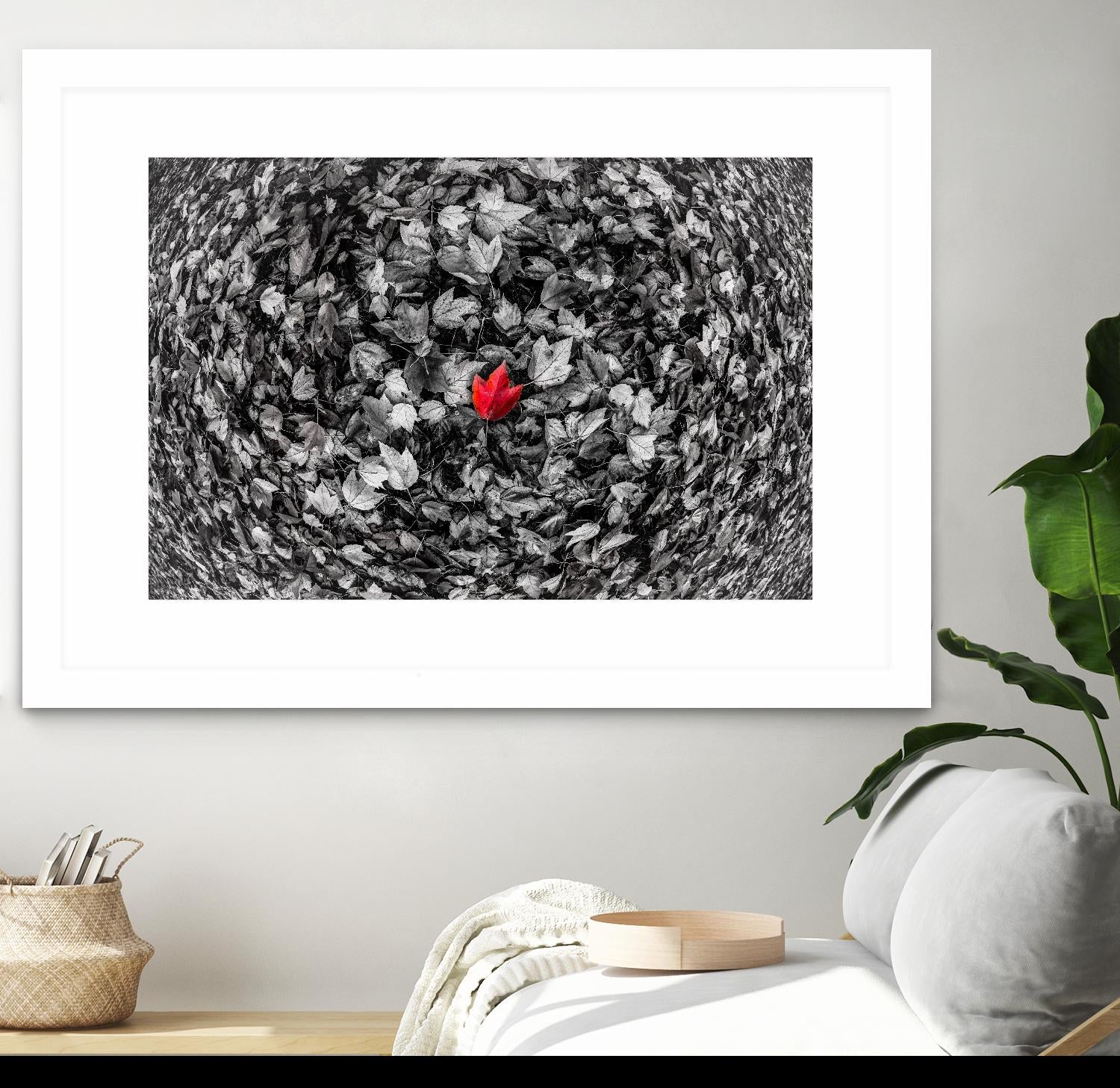 Alone by Vladimir Kostka on GIANT ART - multicolor photography; floral/still life