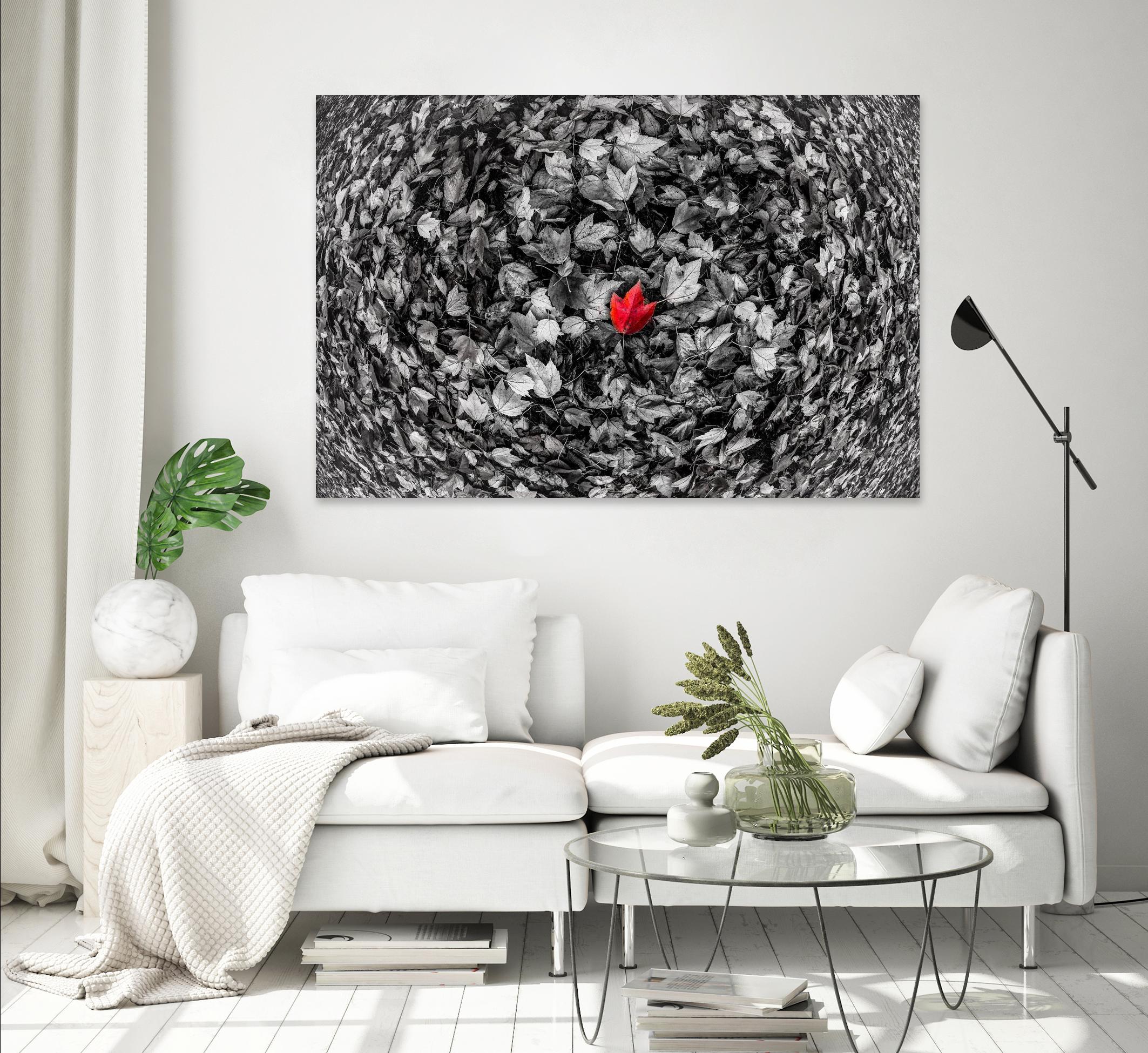 Alone by Vladimir Kostka on GIANT ART - multicolor photography; floral/still life