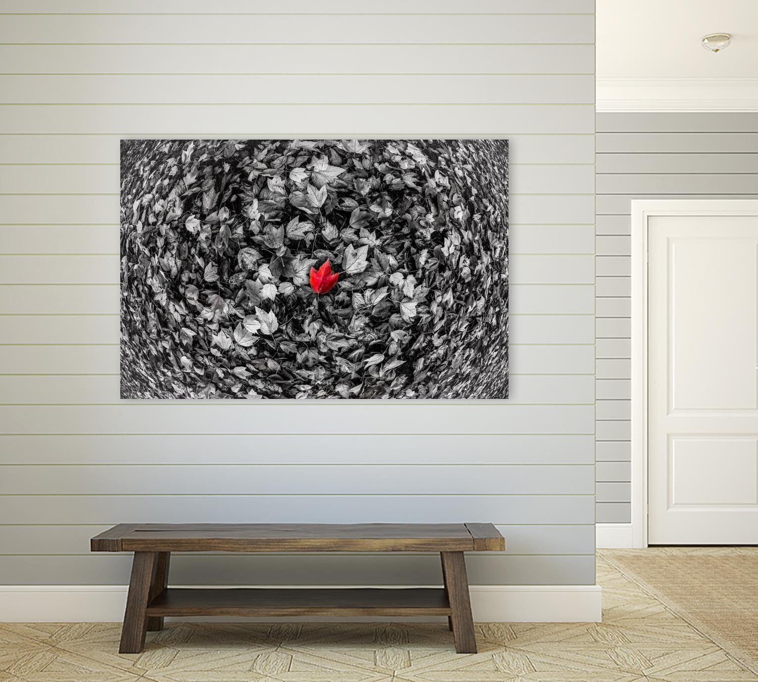 Alone by Vladimir Kostka on GIANT ART - multicolor photography; floral/still life