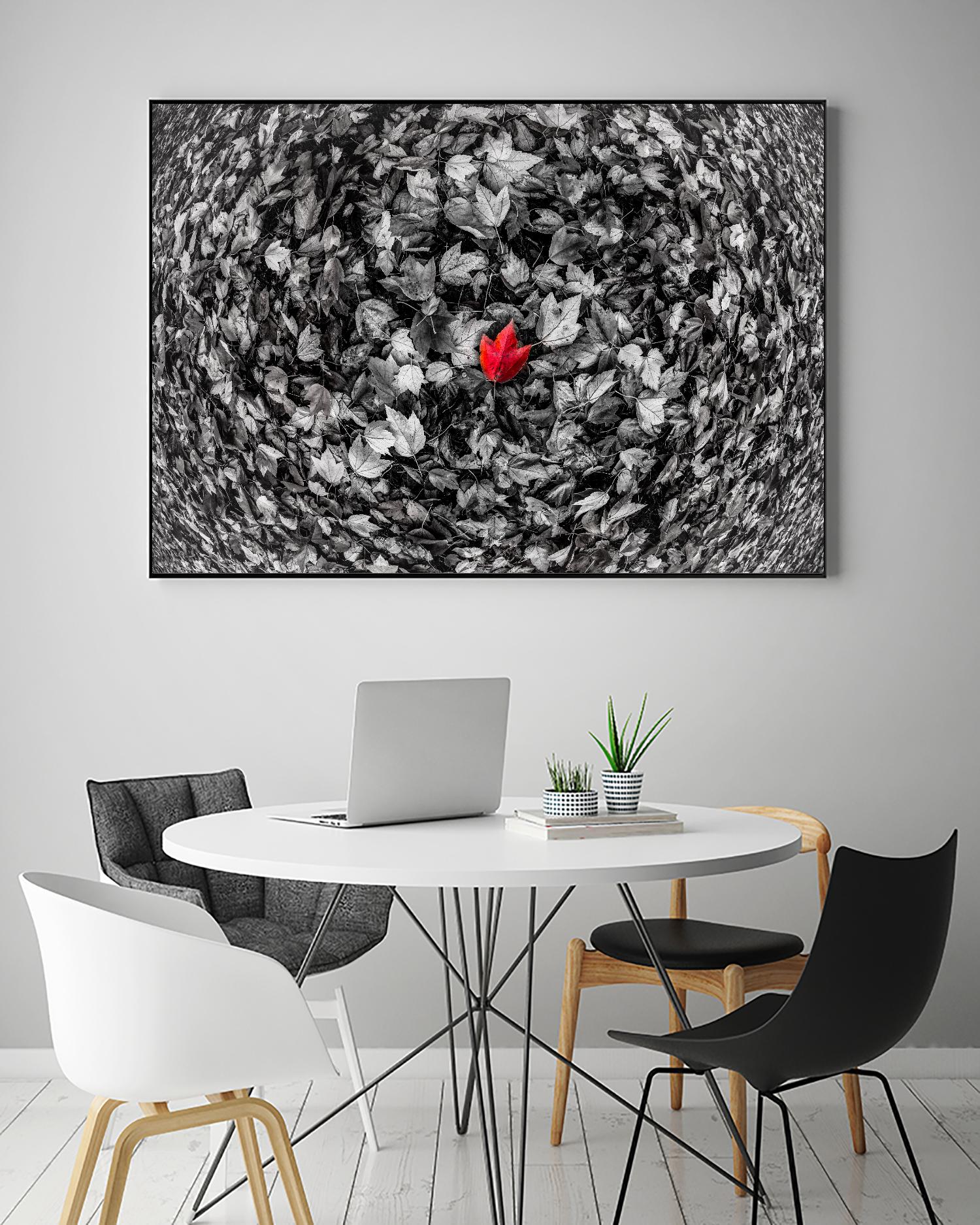 Alone by Vladimir Kostka on GIANT ART - multicolor photography; floral/still life