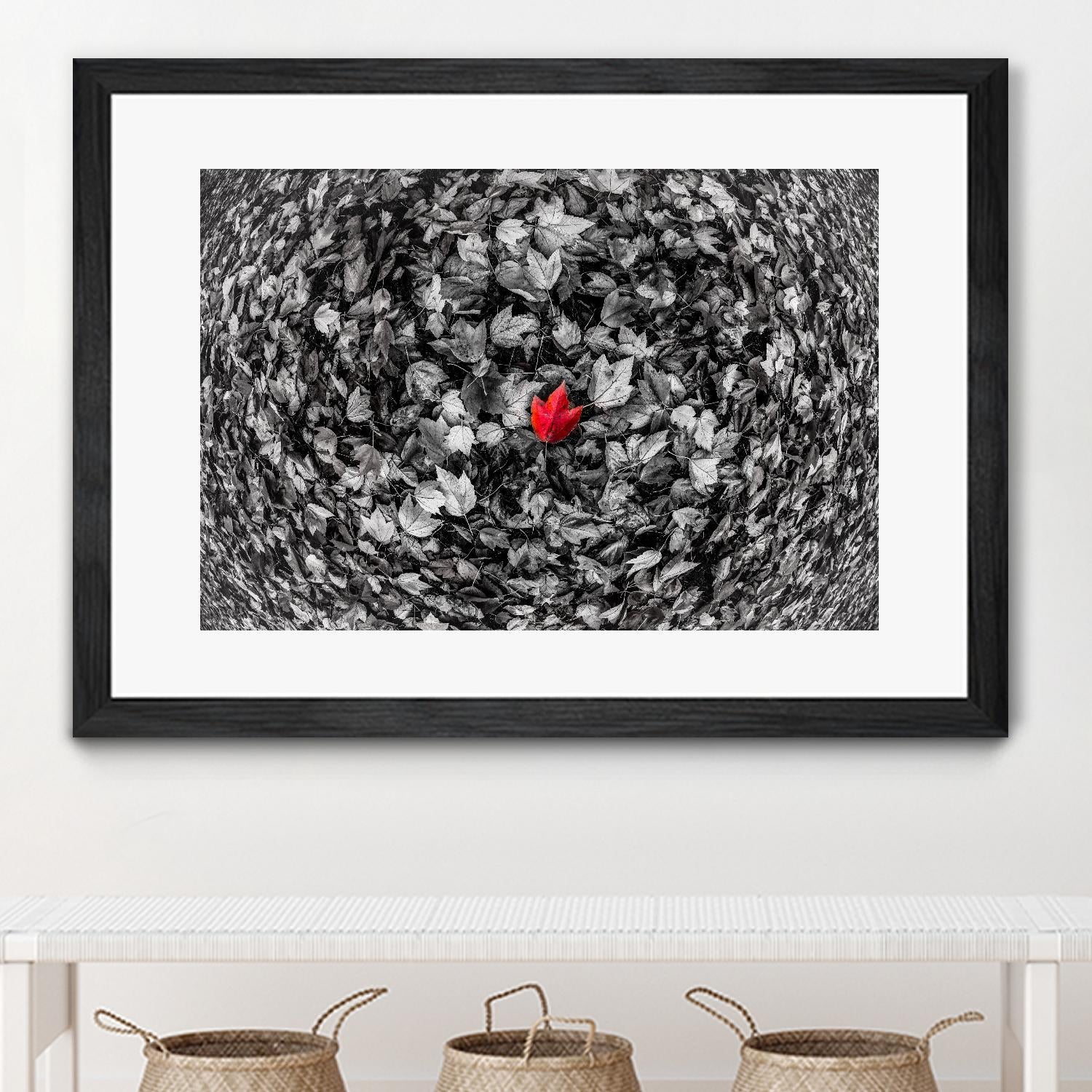 Alone by Vladimir Kostka on GIANT ART - multicolor photography; floral/still life