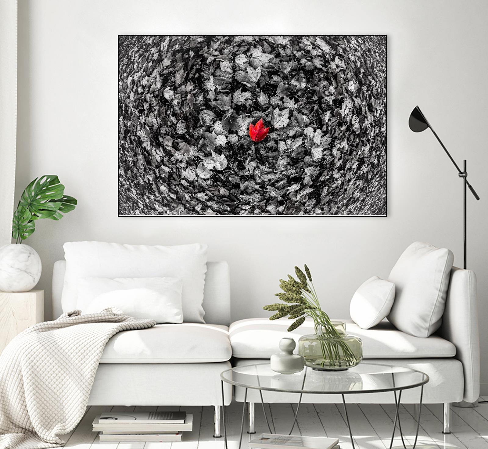 Alone by Vladimir Kostka on GIANT ART - multicolor photography; floral/still life