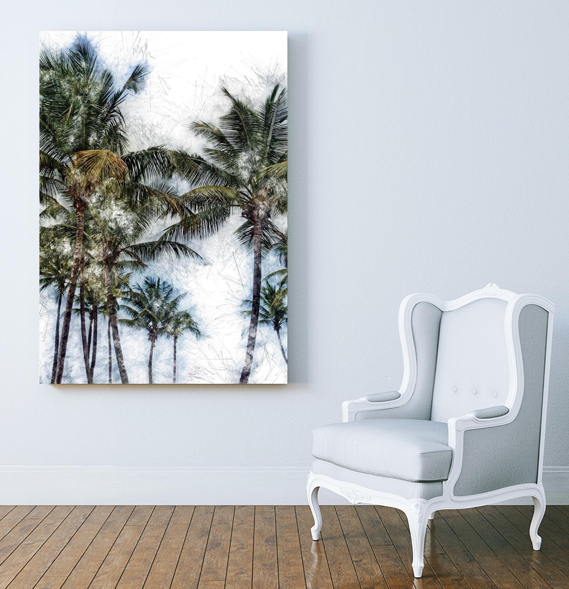 Dorado Palms 2 by Golie Miamee on GIANT ART - multicolor photography; landscapes