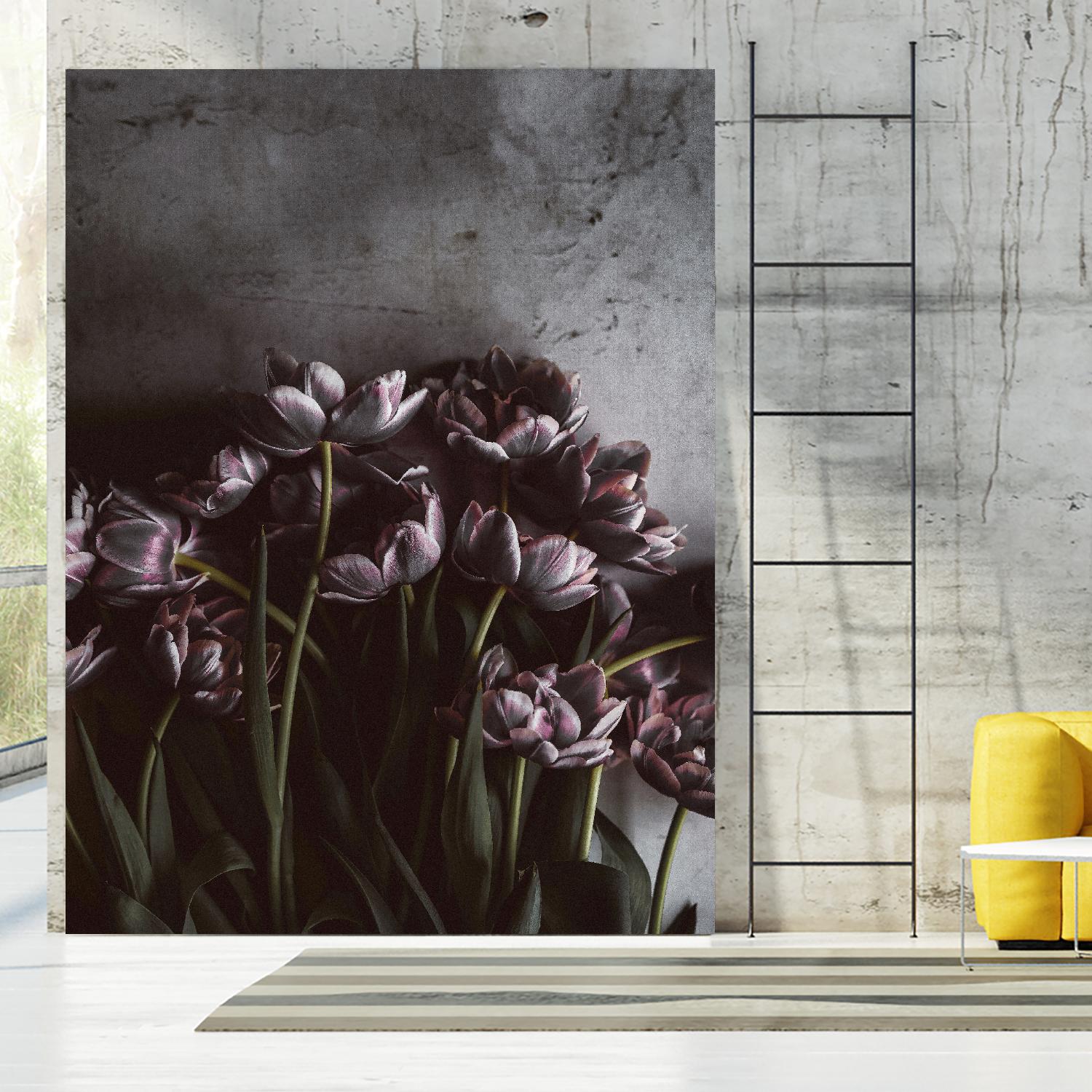 Dark Tulips by Design Fabrikken on GIANT ART - multi floral/still life, photography, flowers, tulips