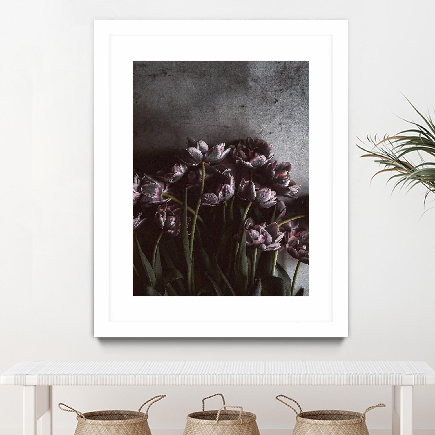 Dark Tulips by Design Fabrikken on GIANT ART - multi floral/still life, photography, flowers, tulips