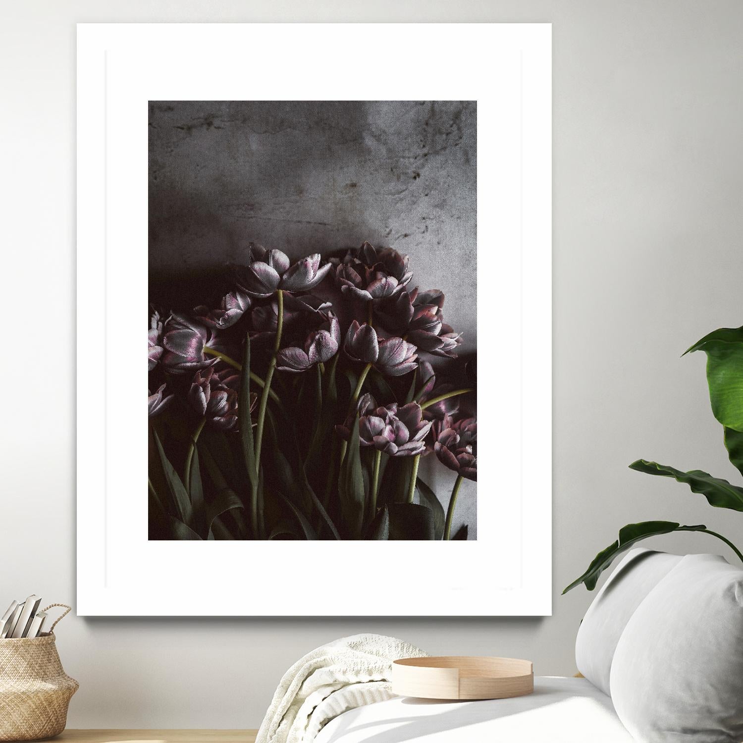 Dark Tulips by Design Fabrikken on GIANT ART - multi floral/still life, photography, flowers, tulips
