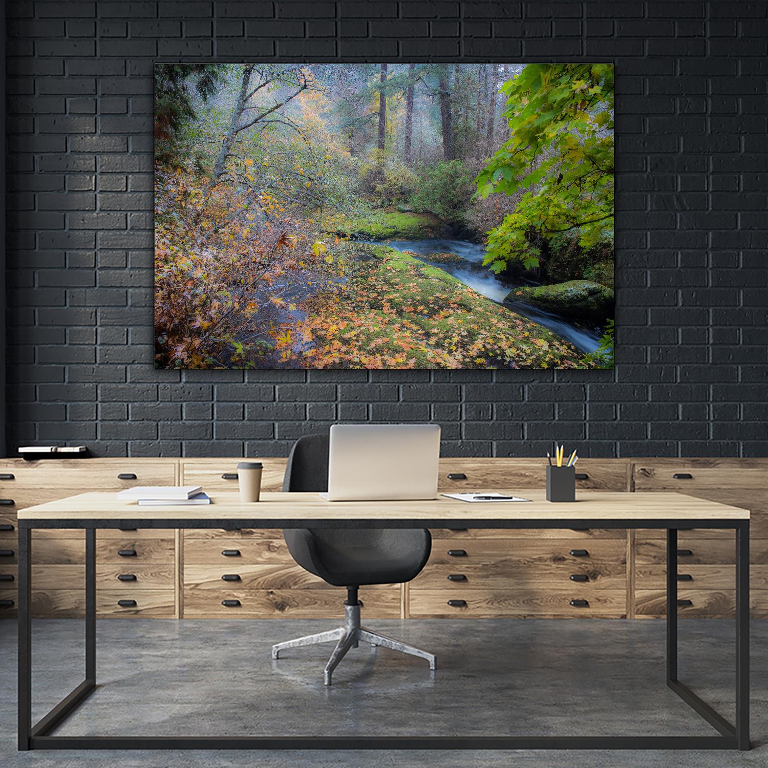 Snow in Fall by Tim Oldford on GIANT ART - multicolor photography; landscapes