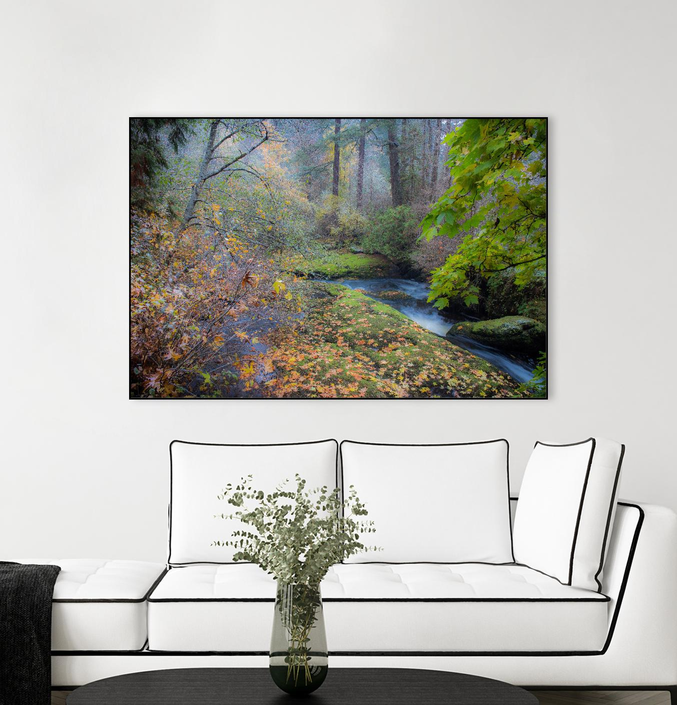 Snow in Fall by Tim Oldford on GIANT ART - multicolor photography; landscapes