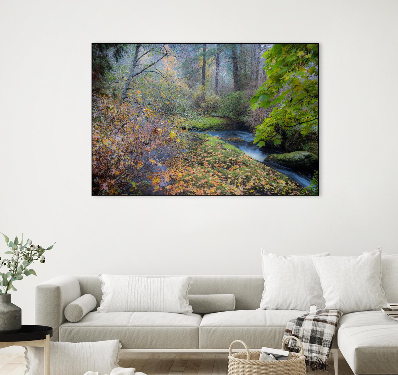 Snow in Fall by Tim Oldford on GIANT ART - multicolor photography; landscapes