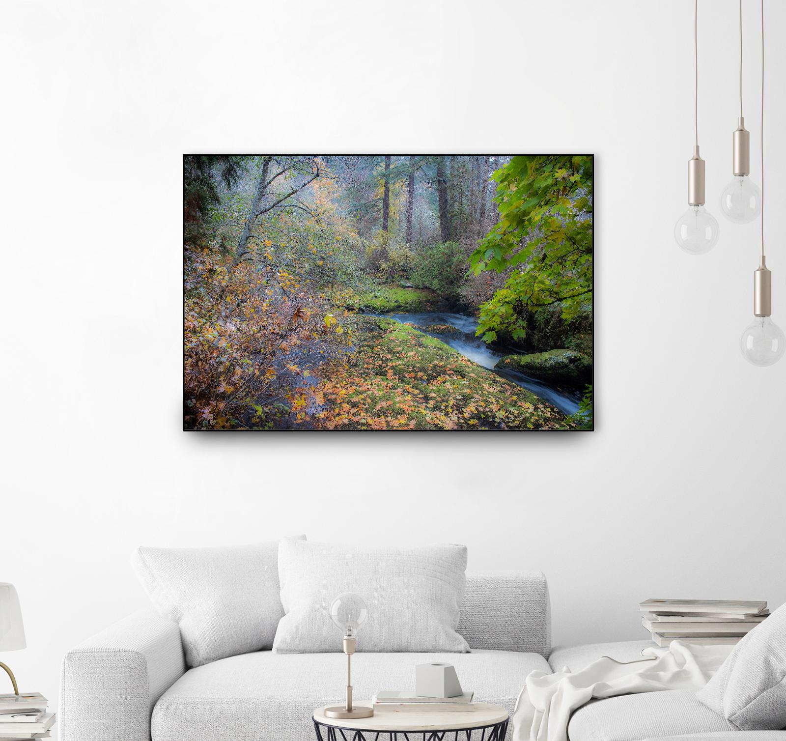 Snow in Fall by Tim Oldford on GIANT ART - multicolor photography; landscapes