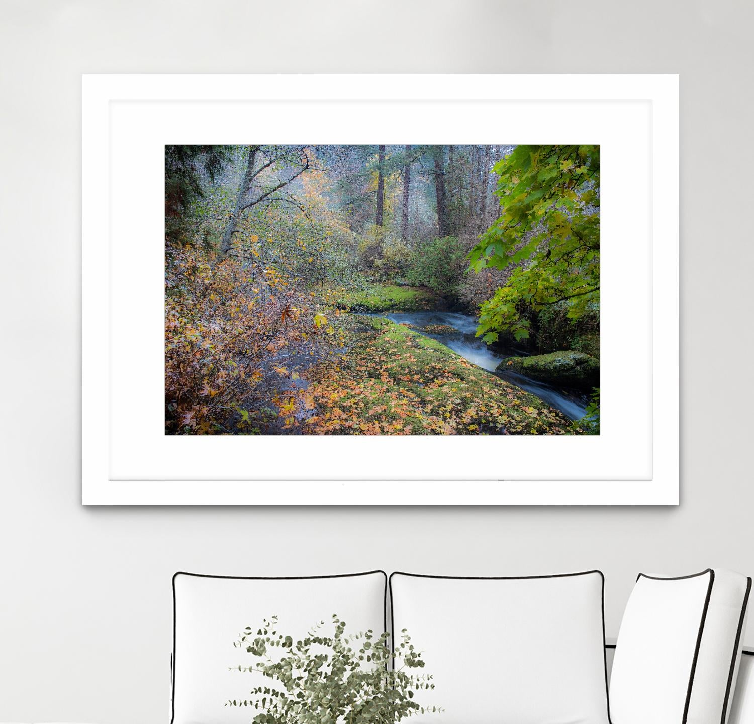 Snow in Fall by Tim Oldford on GIANT ART - multicolor photography; landscapes