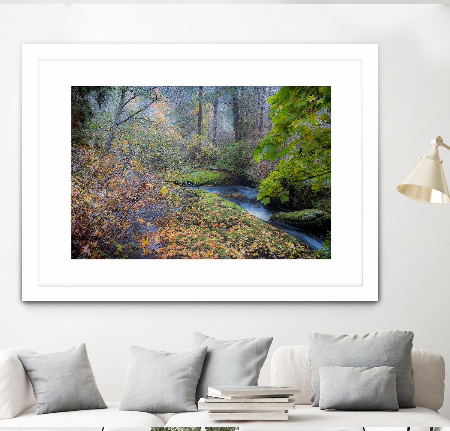 Snow in Fall by Tim Oldford on GIANT ART - multicolor photography; landscapes