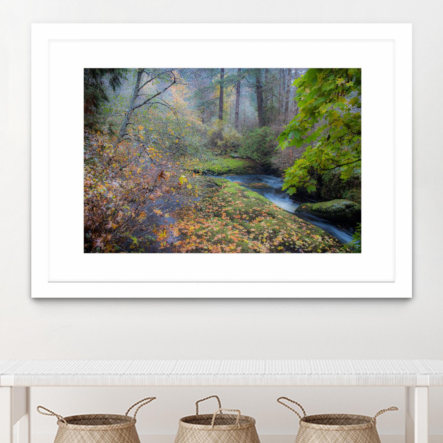 Snow in Fall by Tim Oldford on GIANT ART - multicolor photography; landscapes