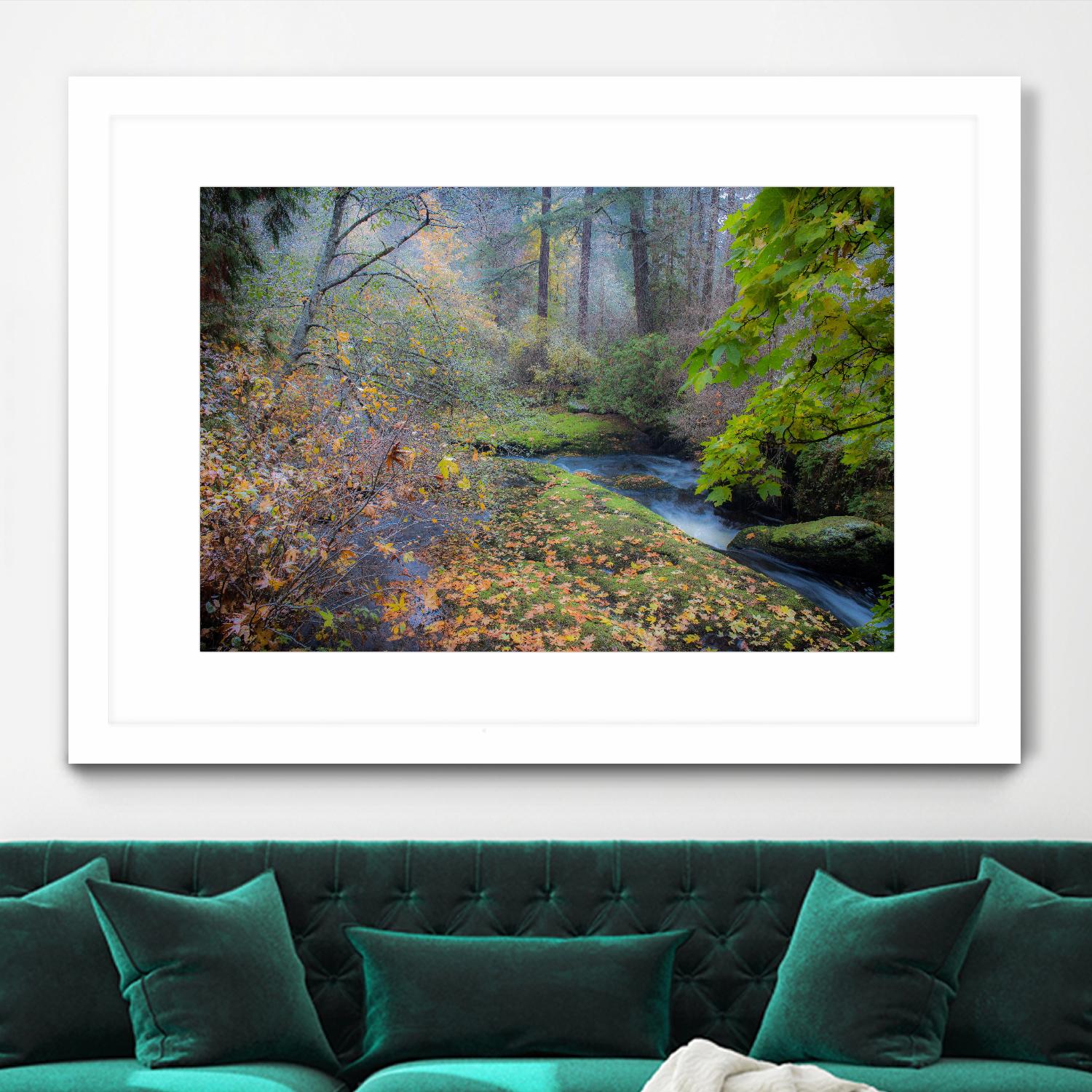 Snow in Fall by Tim Oldford on GIANT ART - multicolor photography; landscapes