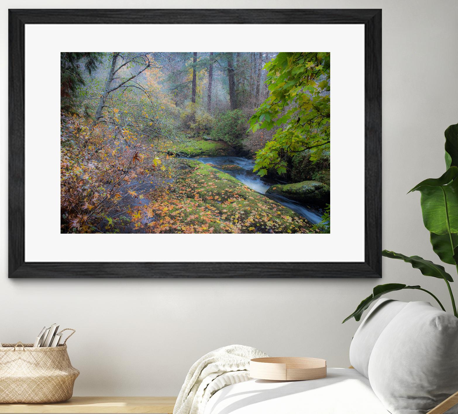 Snow in Fall by Tim Oldford on GIANT ART - multicolor photography; landscapes