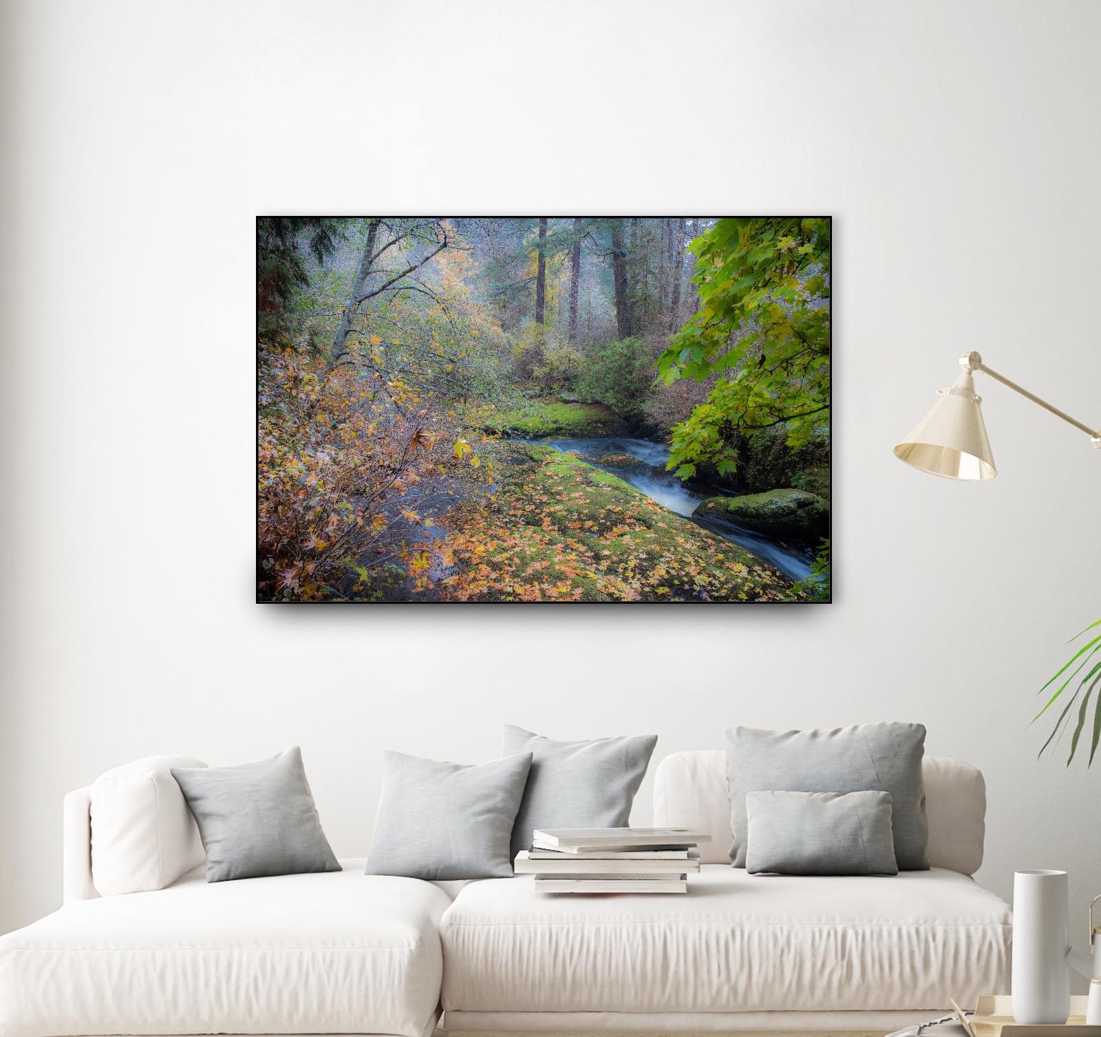 Snow in Fall by Tim Oldford on GIANT ART - multicolor photography; landscapes