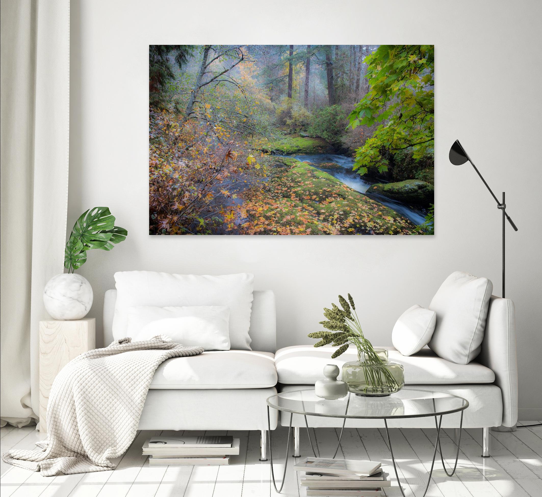 Snow in Fall by Tim Oldford on GIANT ART - multicolor photography; landscapes