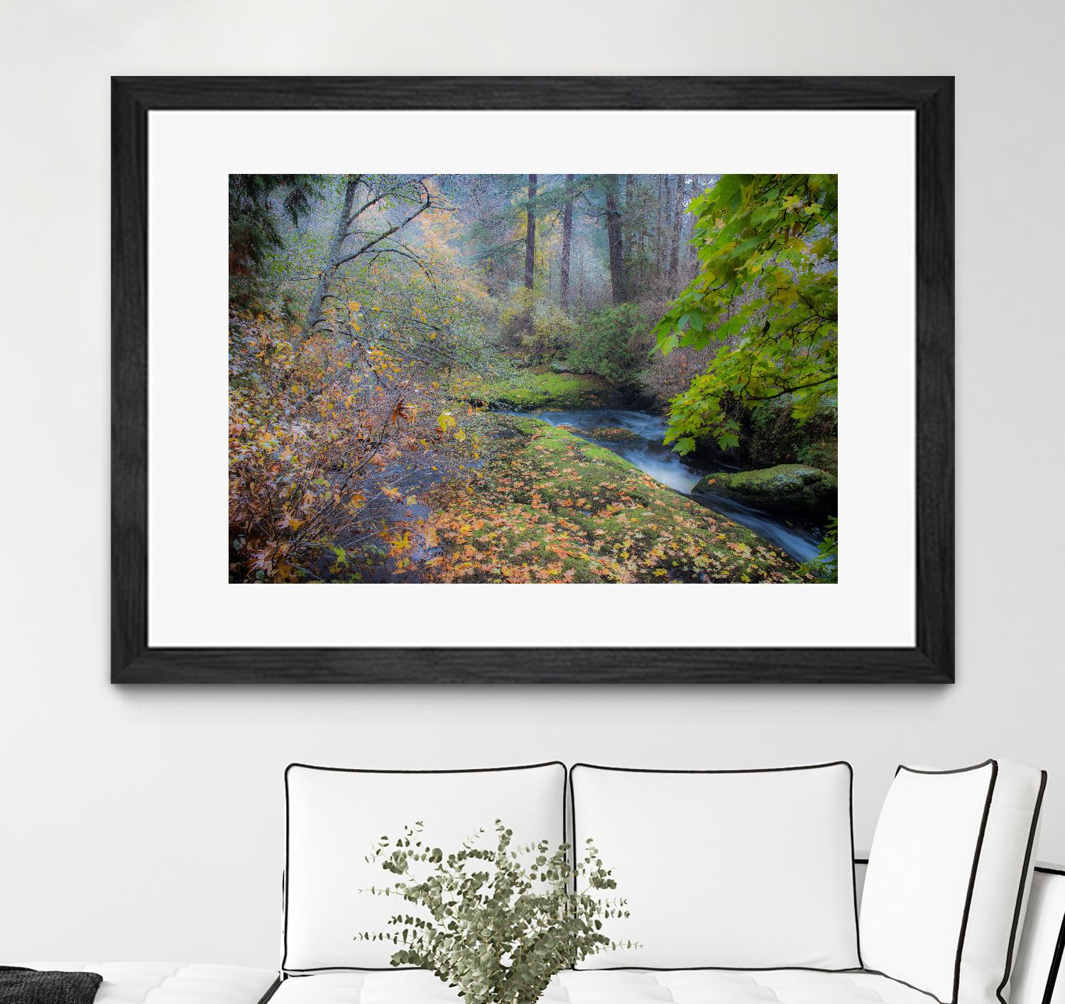 Snow in Fall by Tim Oldford on GIANT ART - multicolor photography; landscapes