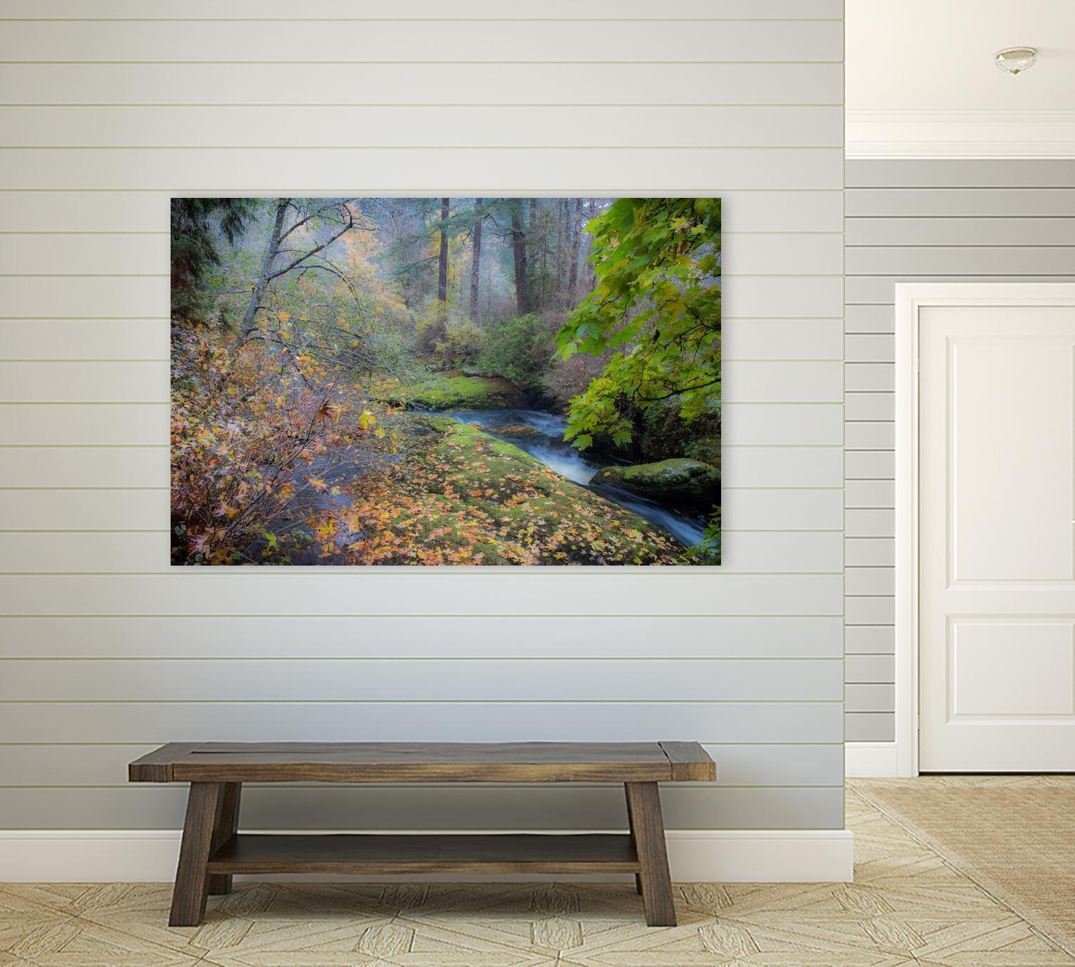 Snow in Fall by Tim Oldford on GIANT ART - multicolor photography; landscapes