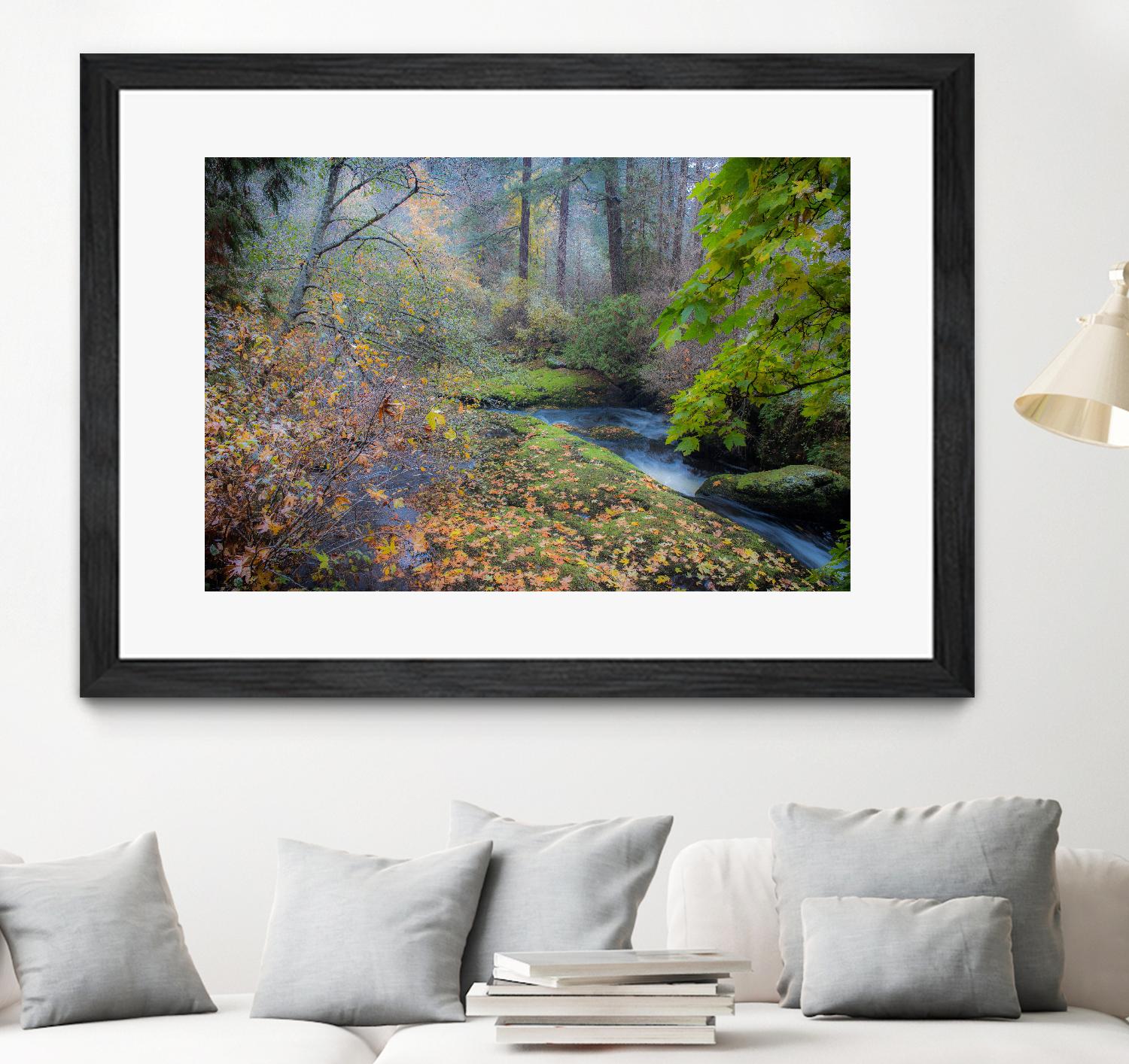 Snow in Fall by Tim Oldford on GIANT ART - multicolor photography; landscapes