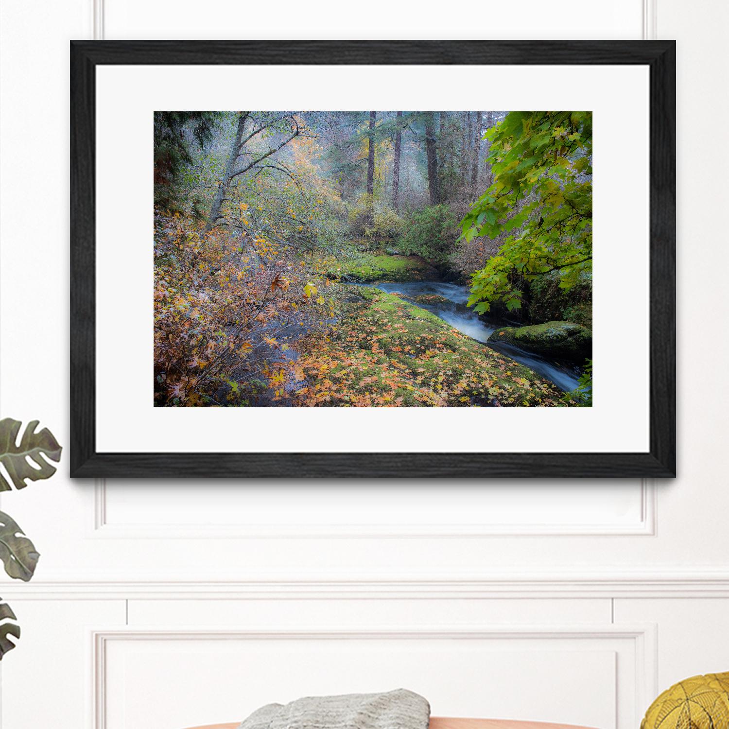 Snow in Fall by Tim Oldford on GIANT ART - multicolor photography; landscapes