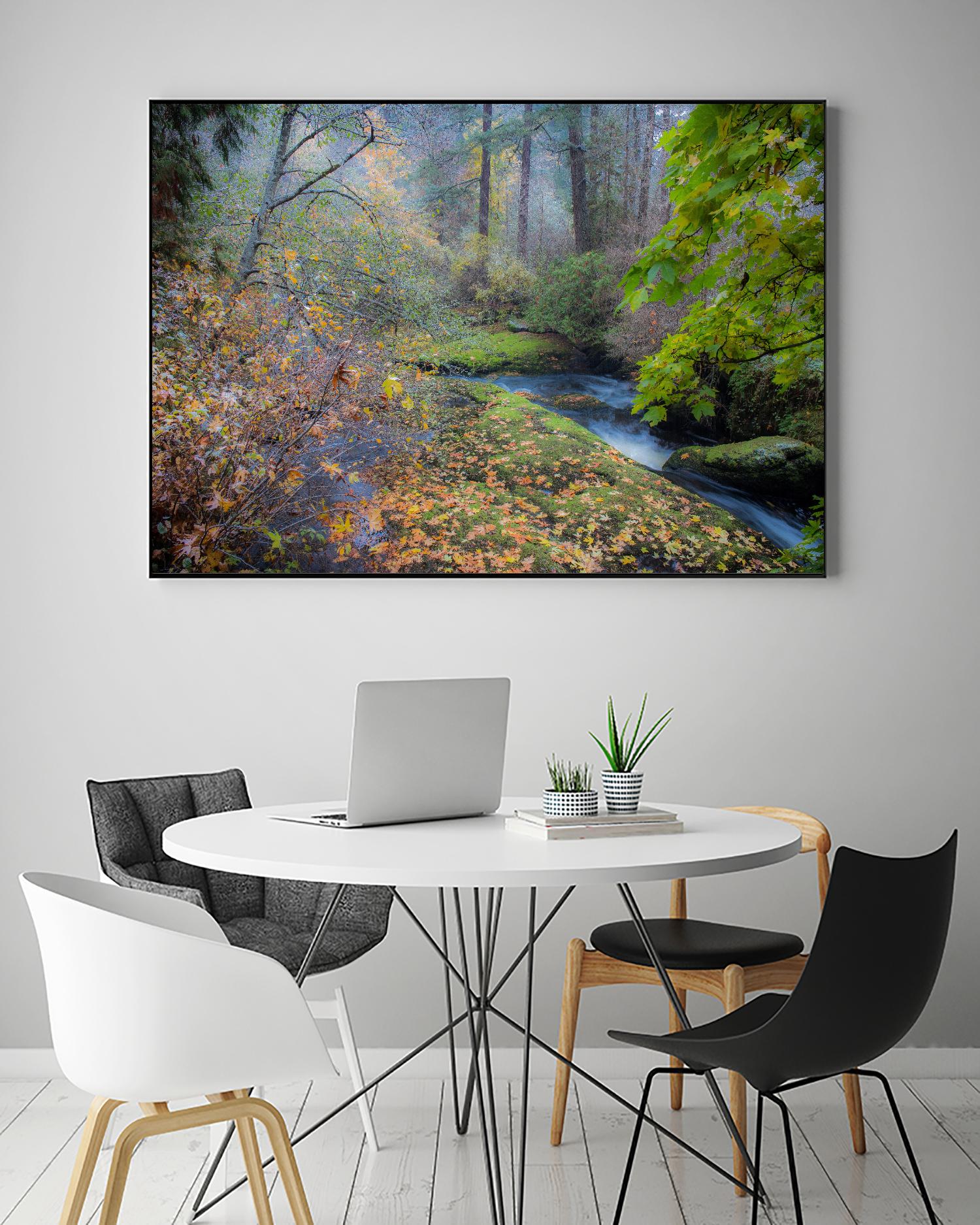 Snow in Fall by Tim Oldford on GIANT ART - multicolor photography; landscapes