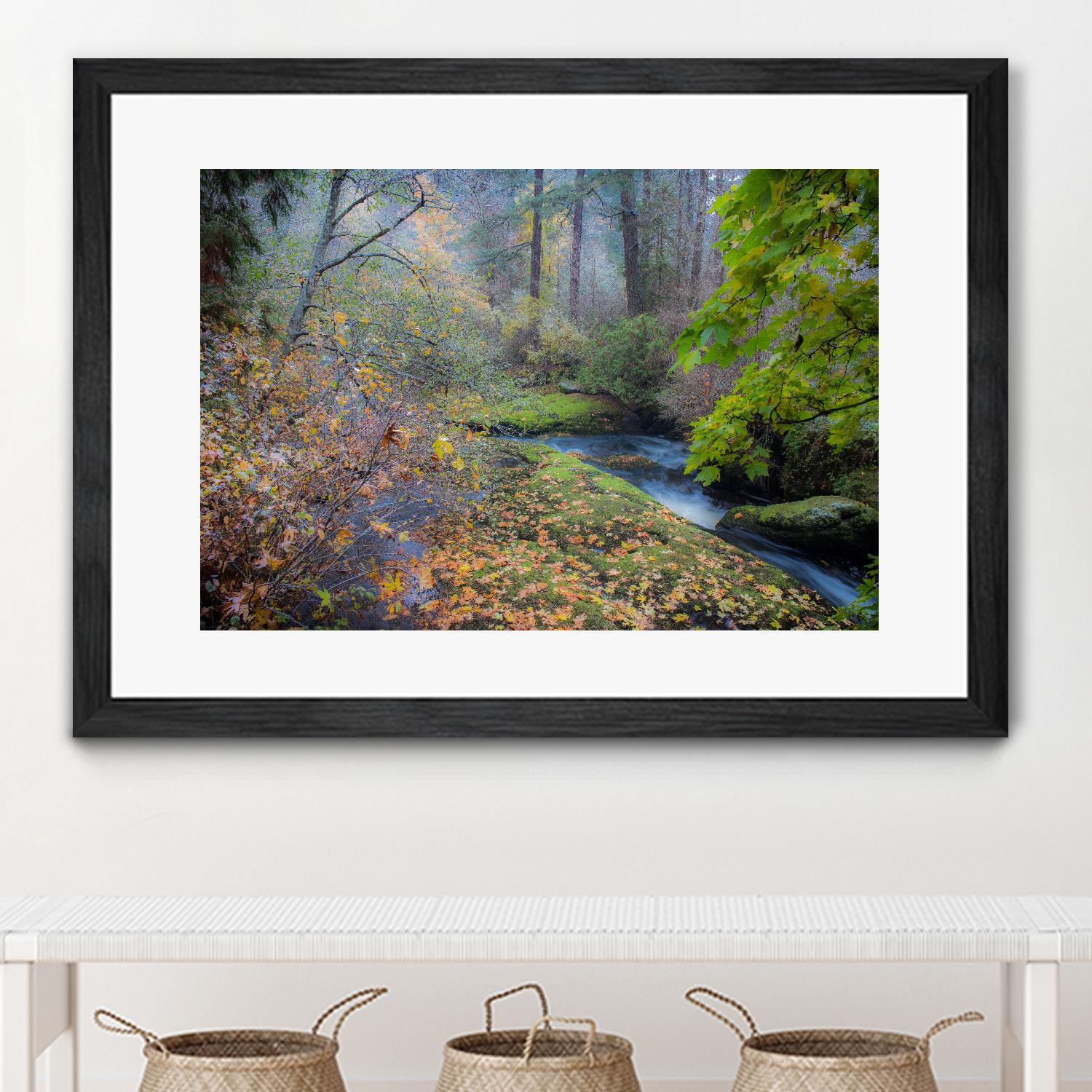 Snow in Fall by Tim Oldford on GIANT ART - multicolor photography; landscapes