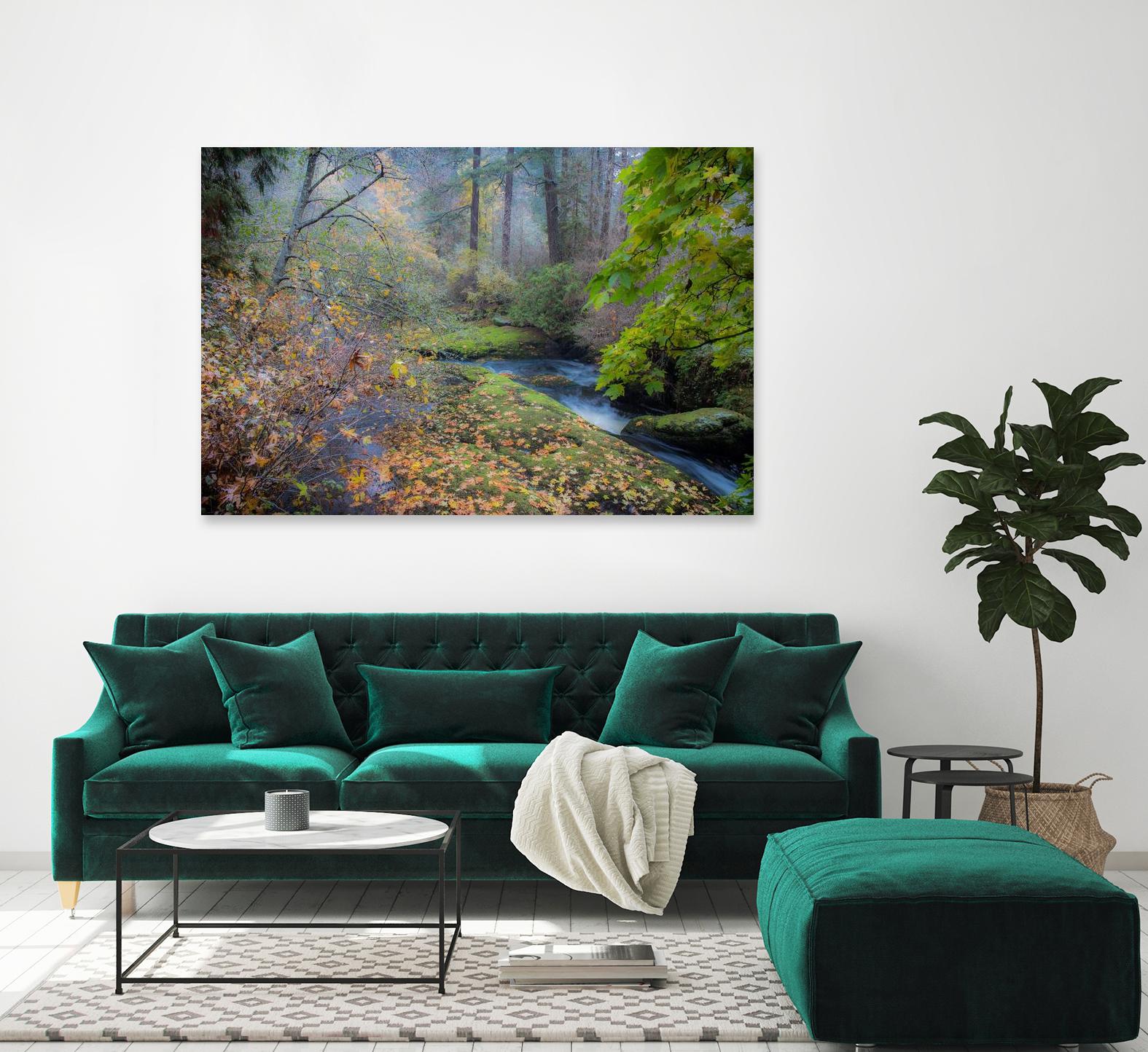 Snow in Fall by Tim Oldford on GIANT ART - multicolor photography; landscapes