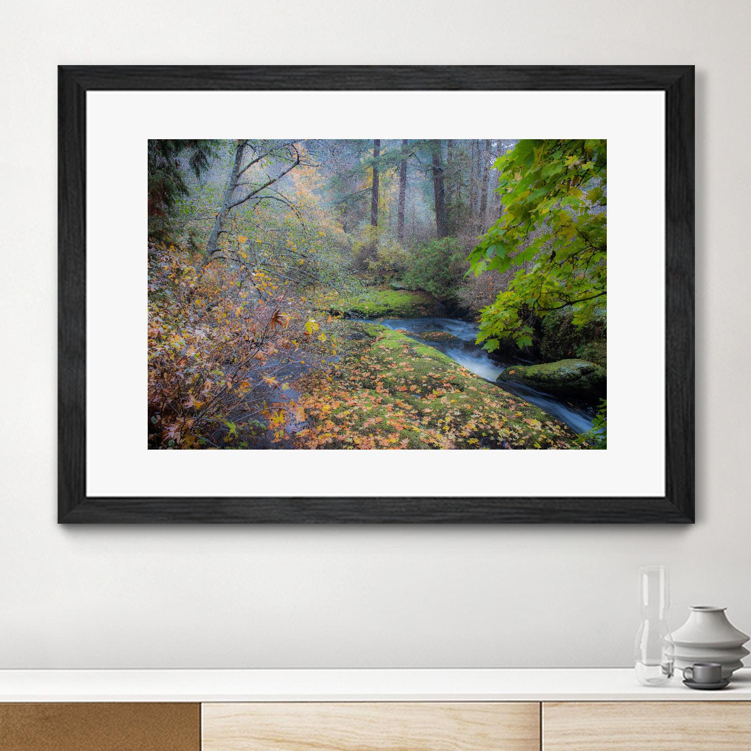 Snow in Fall by Tim Oldford on GIANT ART - multicolor photography; landscapes