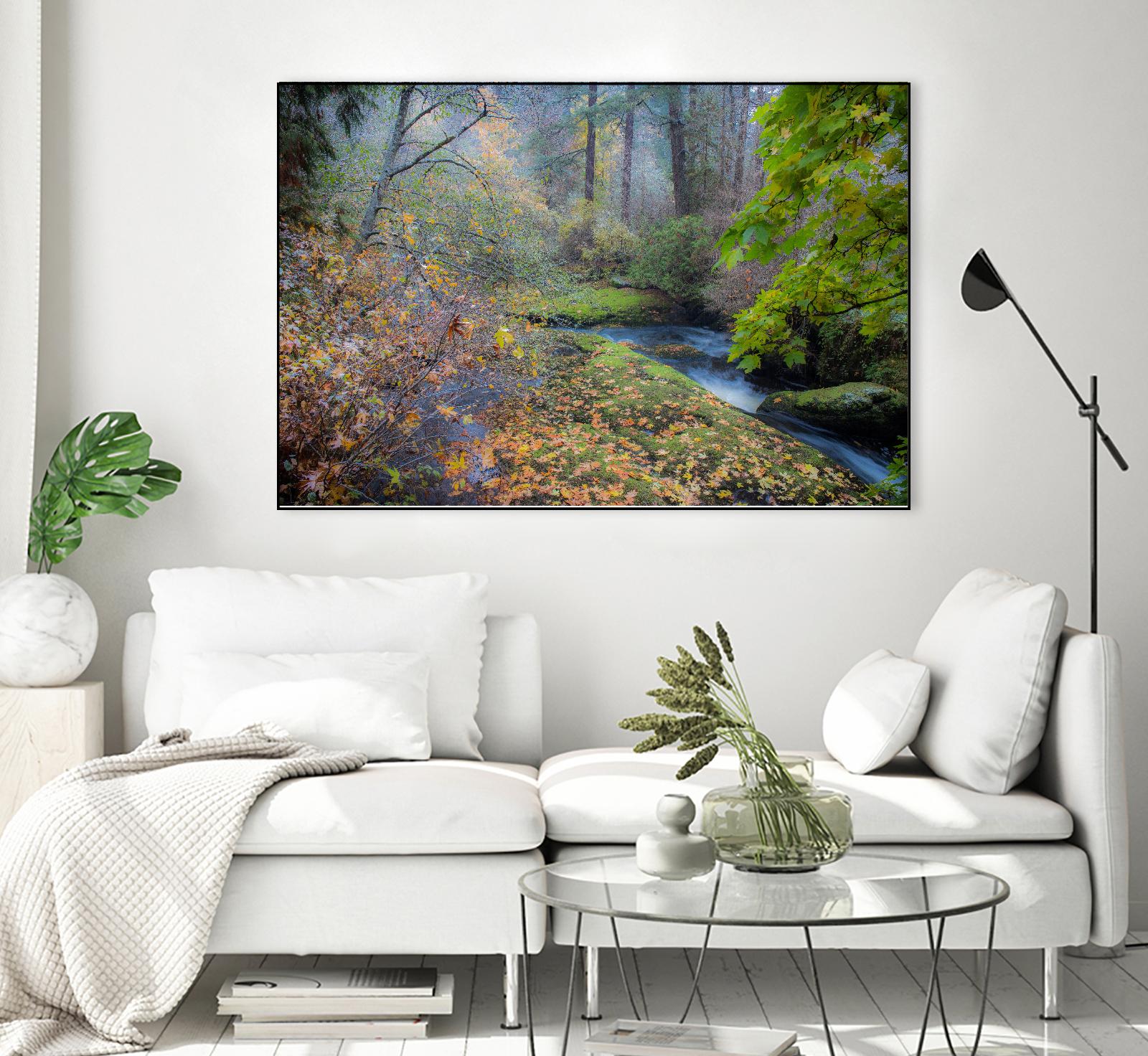 Snow in Fall by Tim Oldford on GIANT ART - multicolor photography; landscapes