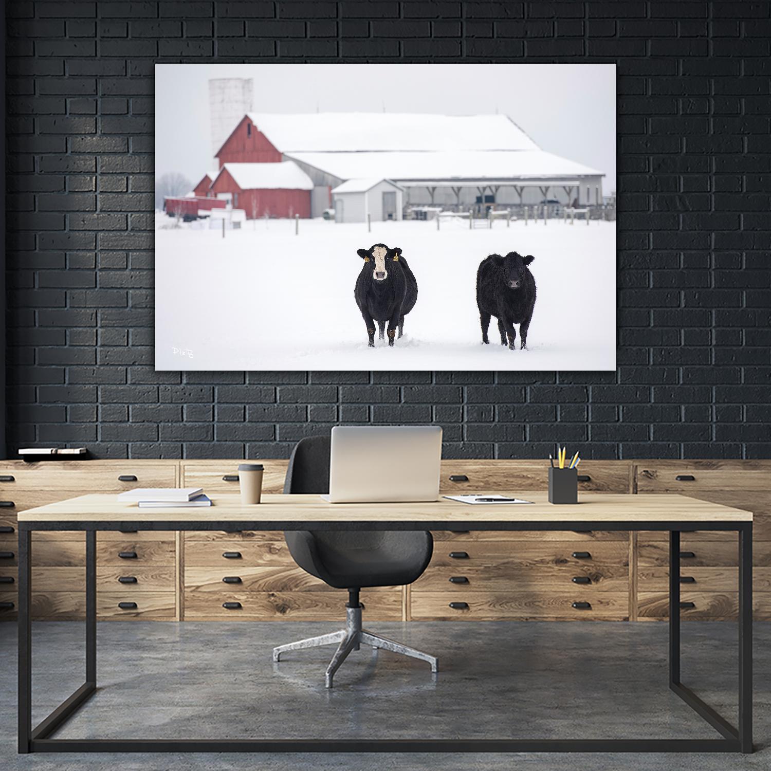 Cookies and Cream by Matthew Platz on GIANT ART - multicolor photography; animals