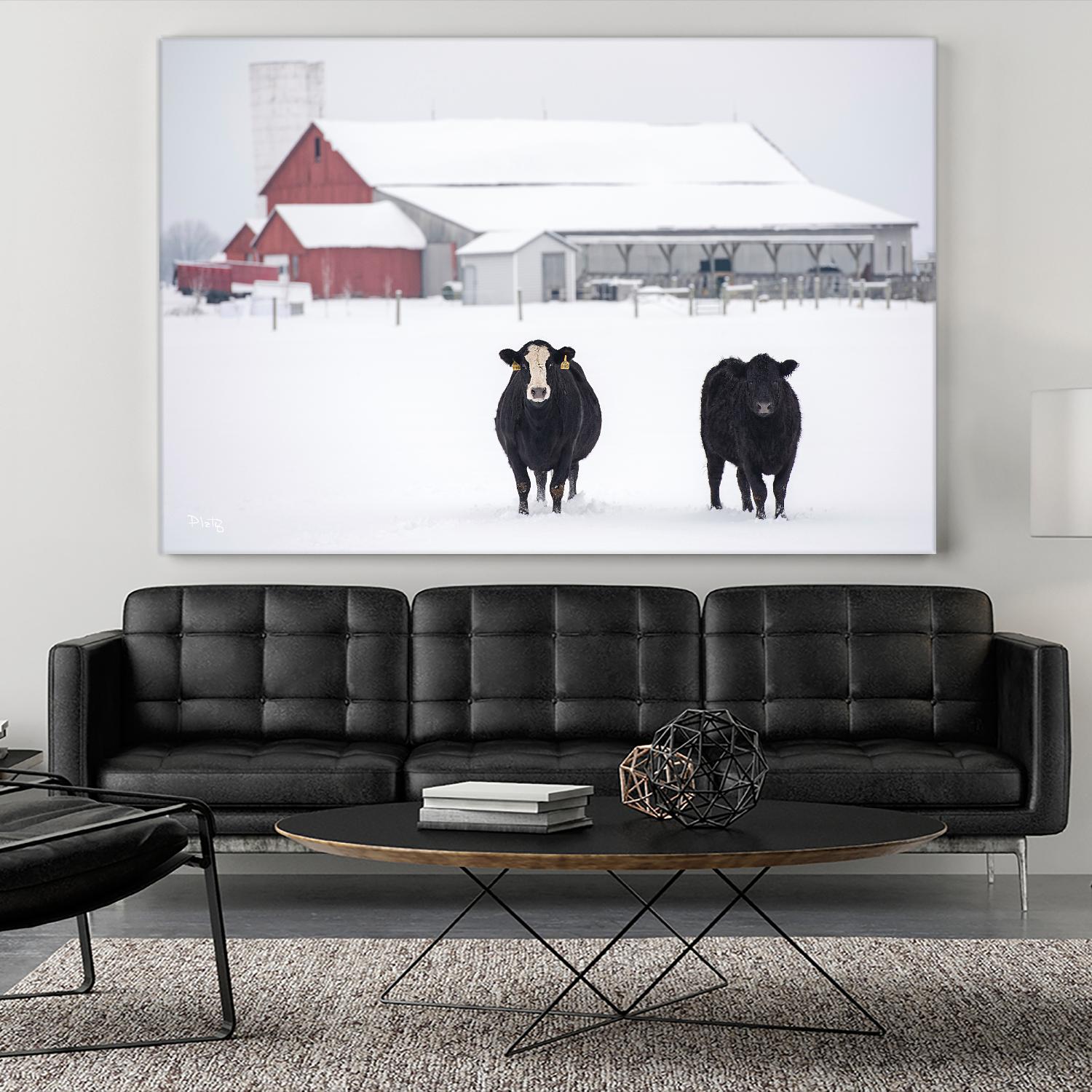 Cookies and Cream by Matthew Platz on GIANT ART - multicolor photography; animals