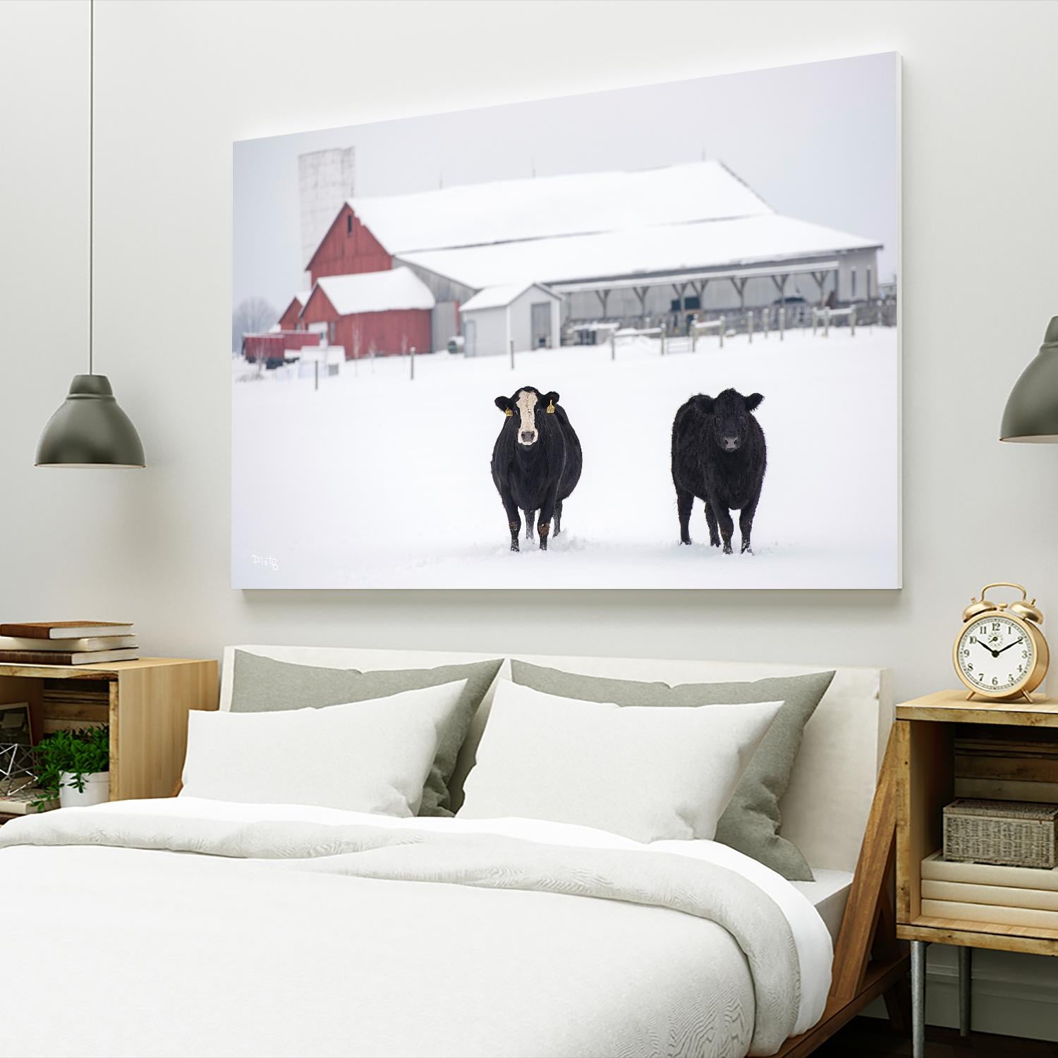 Cookies and Cream by Matthew Platz on GIANT ART - multicolor photography; animals