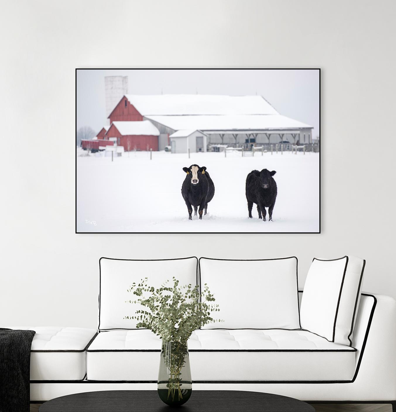 Cookies and Cream by Matthew Platz on GIANT ART - multicolor photography; animals