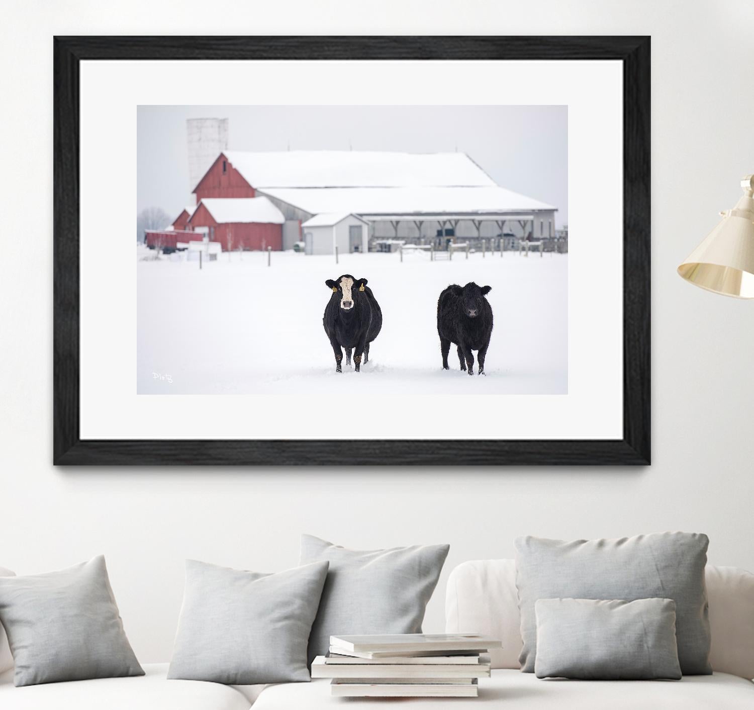 Cookies and Cream by Matthew Platz on GIANT ART - multicolor photography; animals